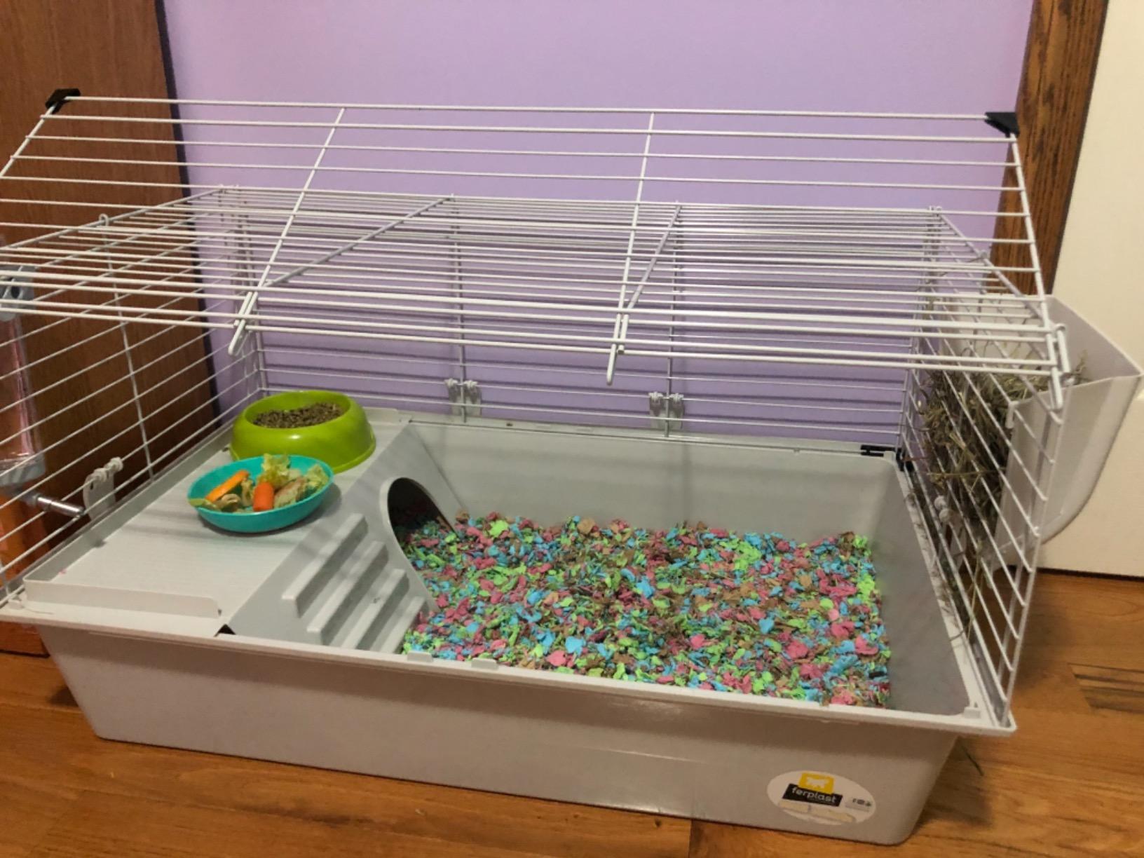 Ferplast Cavie Guinea Pig Cage & Rabbit Cage | Pet Cage Includes All Accessories to Get You Started & a 1-Year Warranty customer photo 1