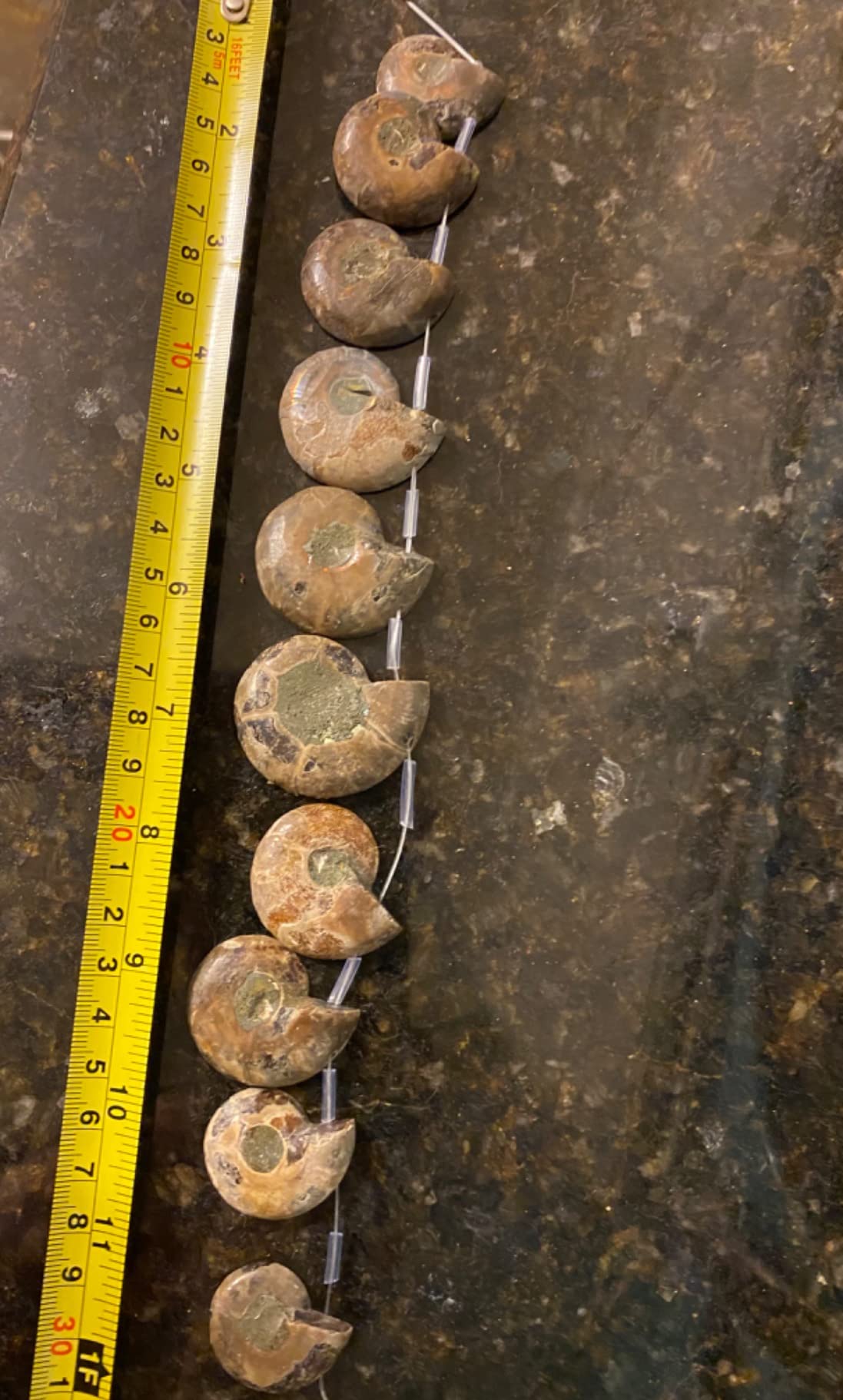 Justinstones 10pcs Side Drilled Natural Ammonite Fossil Loose Gemstone Beads customer photo 1
