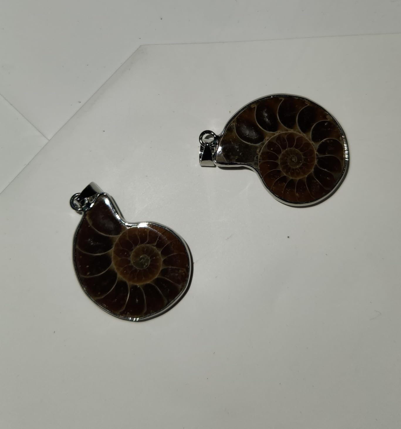 Justinstones Natural Ammonite Fossil Earrings customer photo 1
