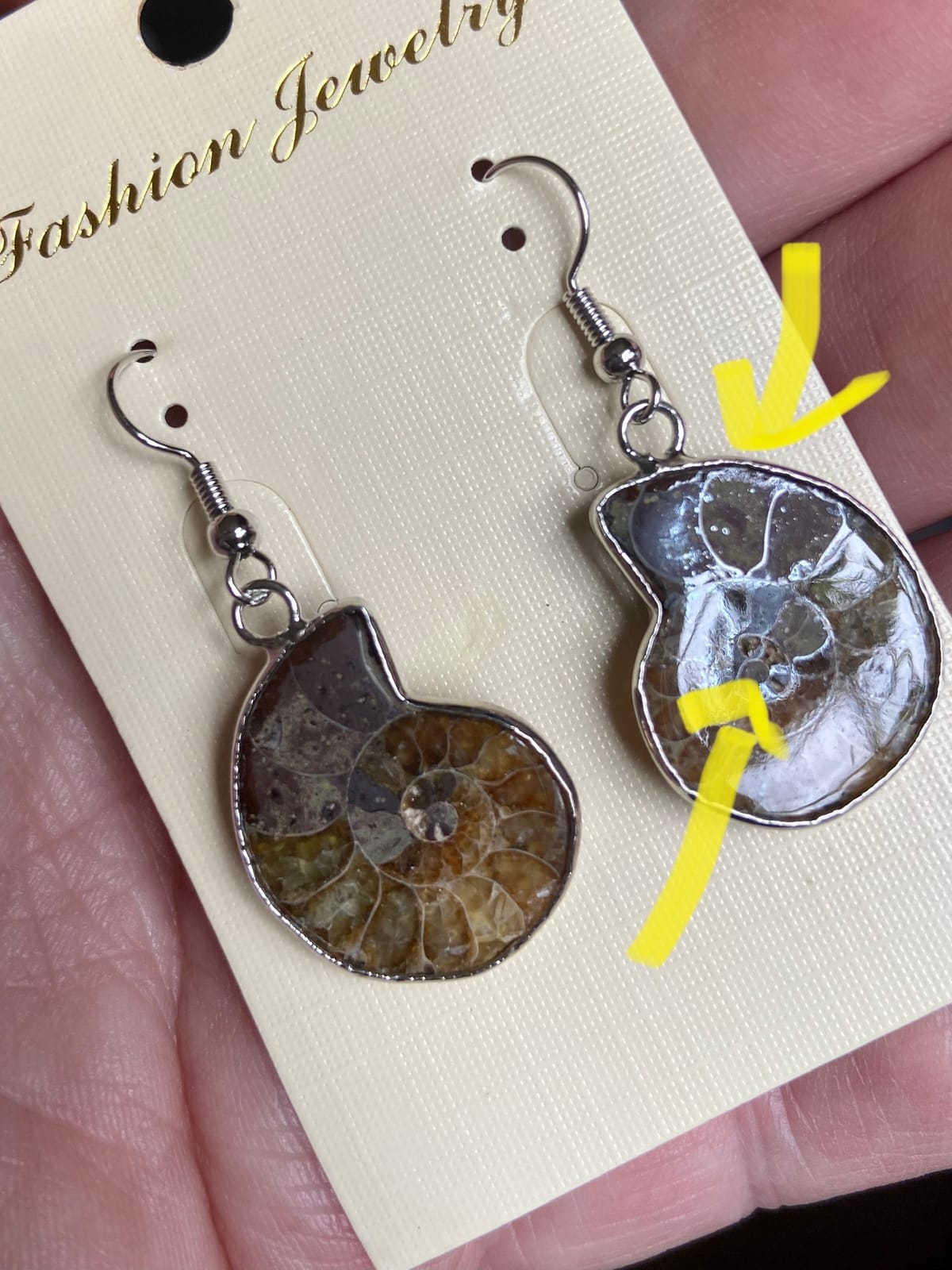 Justinstones Natural Ammonite Fossil Earrings customer photo 2