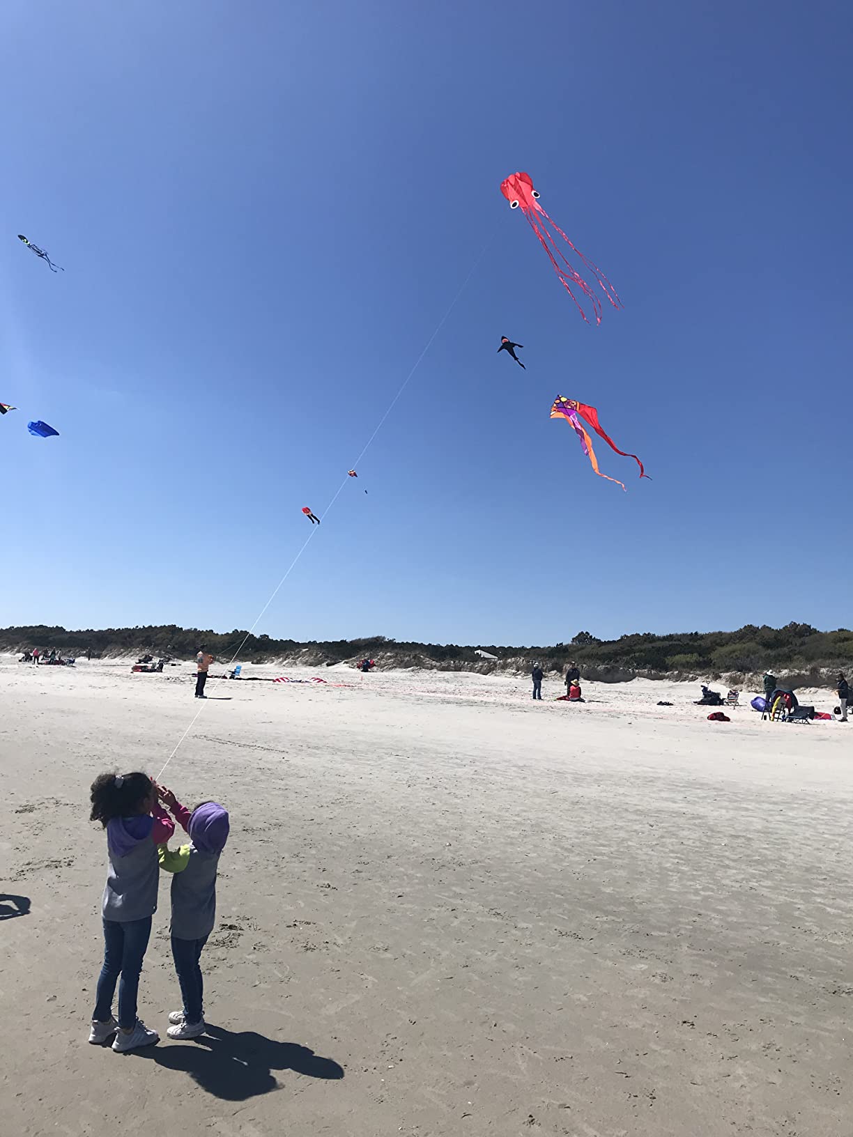 Hengda Kite Soft Octopus Kite Series, Beautiful Kite with Long Colorful Tail for Kids and Adults, Easy to Fly Beach Kites, Excellent Outdoor Games and Activity Toys customer photo 2