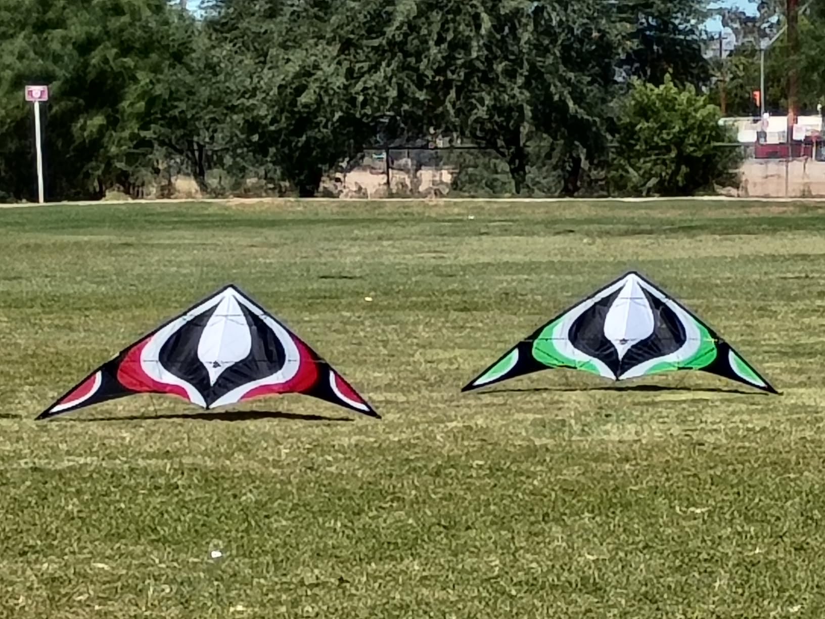 Babyeden Large Dual Line Stunt Kite, 84 Inch Wide Entry-Level Sport Kite for Adults and Teenagers customer photo 2