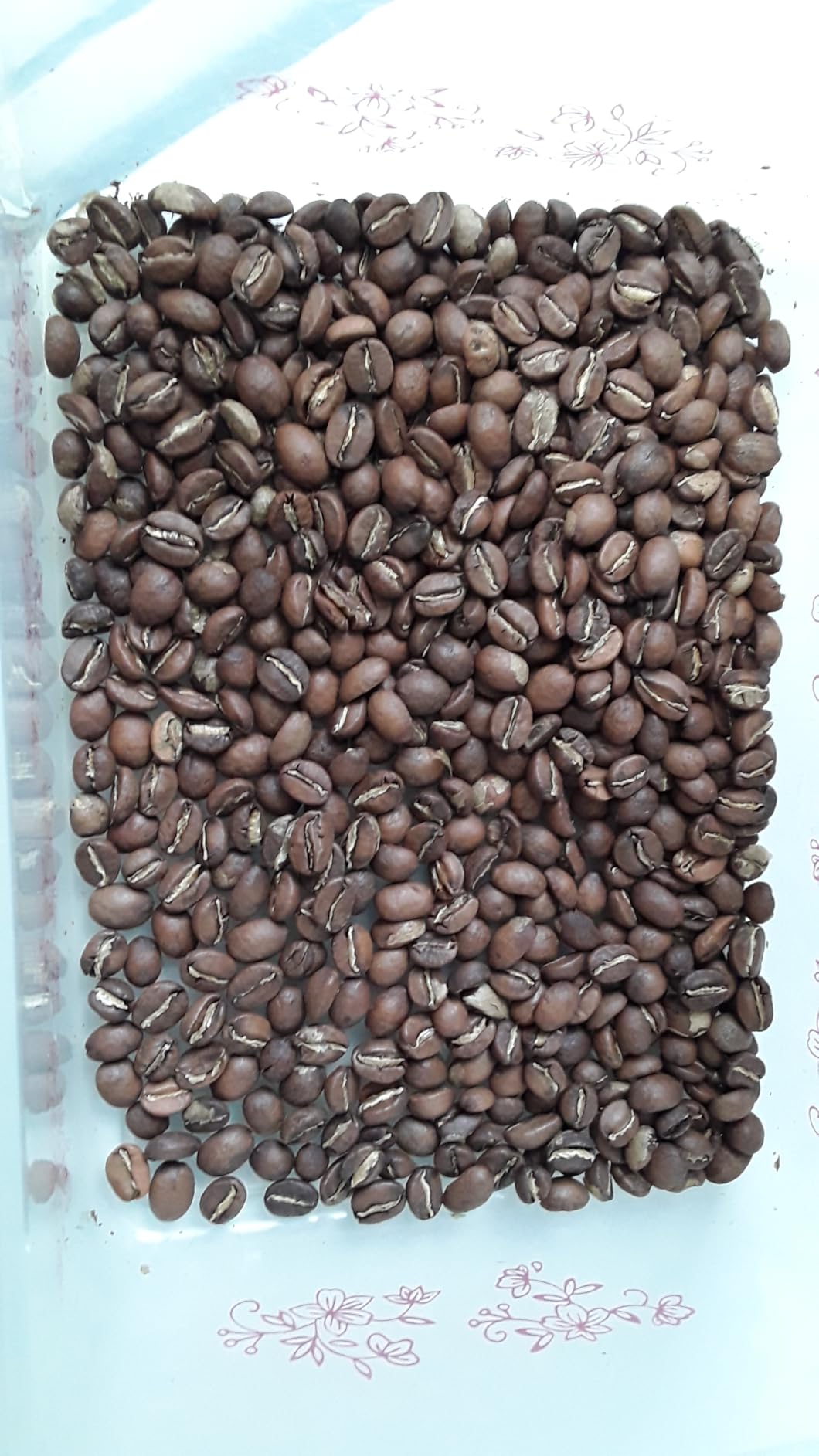 Primos Unroasted Green Arabica Coffee Beans - 3 Lb - Nicaraguan Caturra customer photo 2