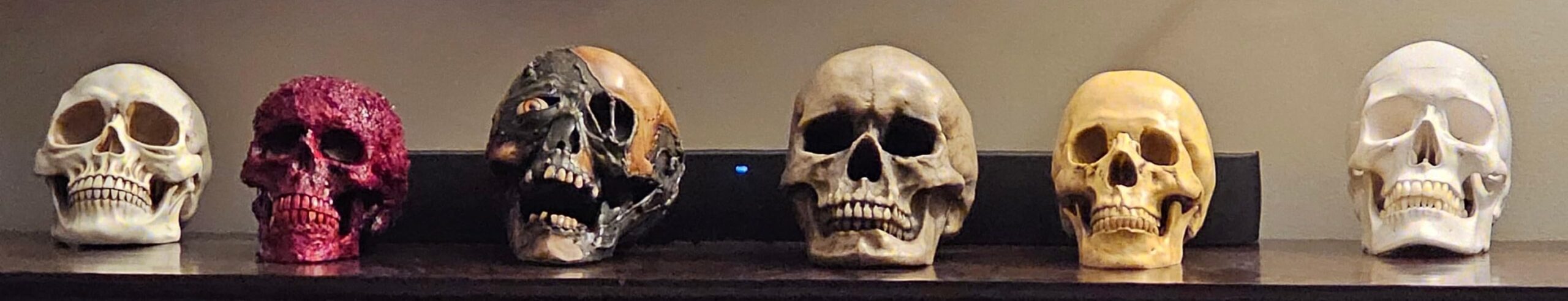 READAEER Resin Skull, Human Head Model for Home Decoration, Halloween Statue, Skull Model for Bookshelf and Desktop customer photo 1