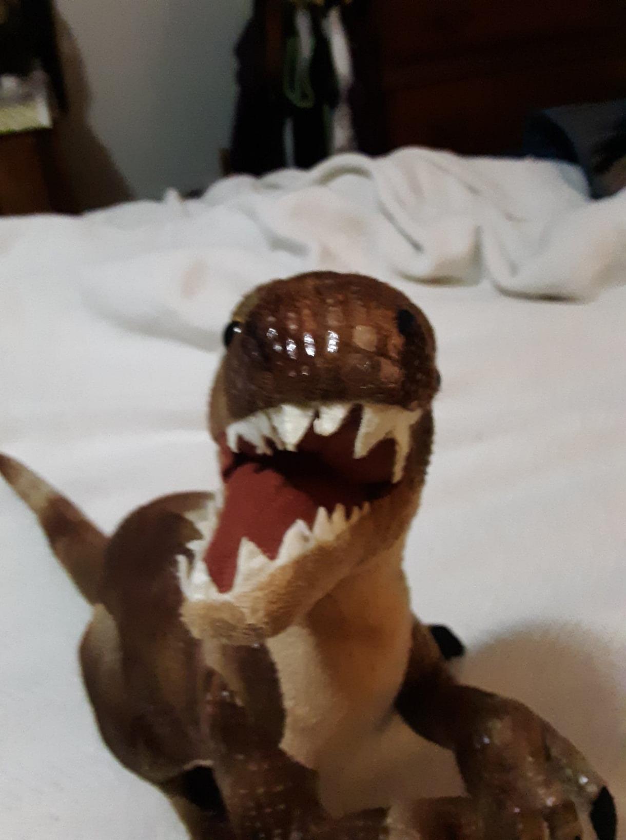 Wild Republic Velociraptor Plush, Dinosaur Stuffed Animal, Plush Toy, Gifts for Kids, Dinosauria 17 Inches customer photo 1