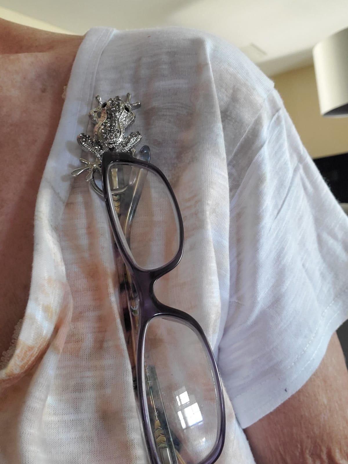3 Colors Frog Magnetic Clip Holder Magnetic Eyeglass Holder Brooch Jewelry customer photo 1