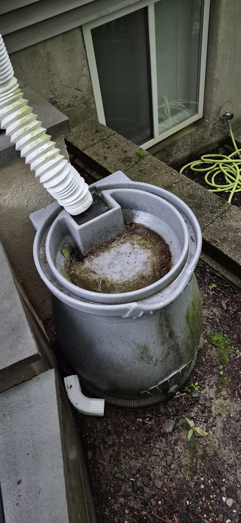 Good Ideas Rain Wizard Urn Shaped Water Collection Barrel, 50 Gallon customer photo 1