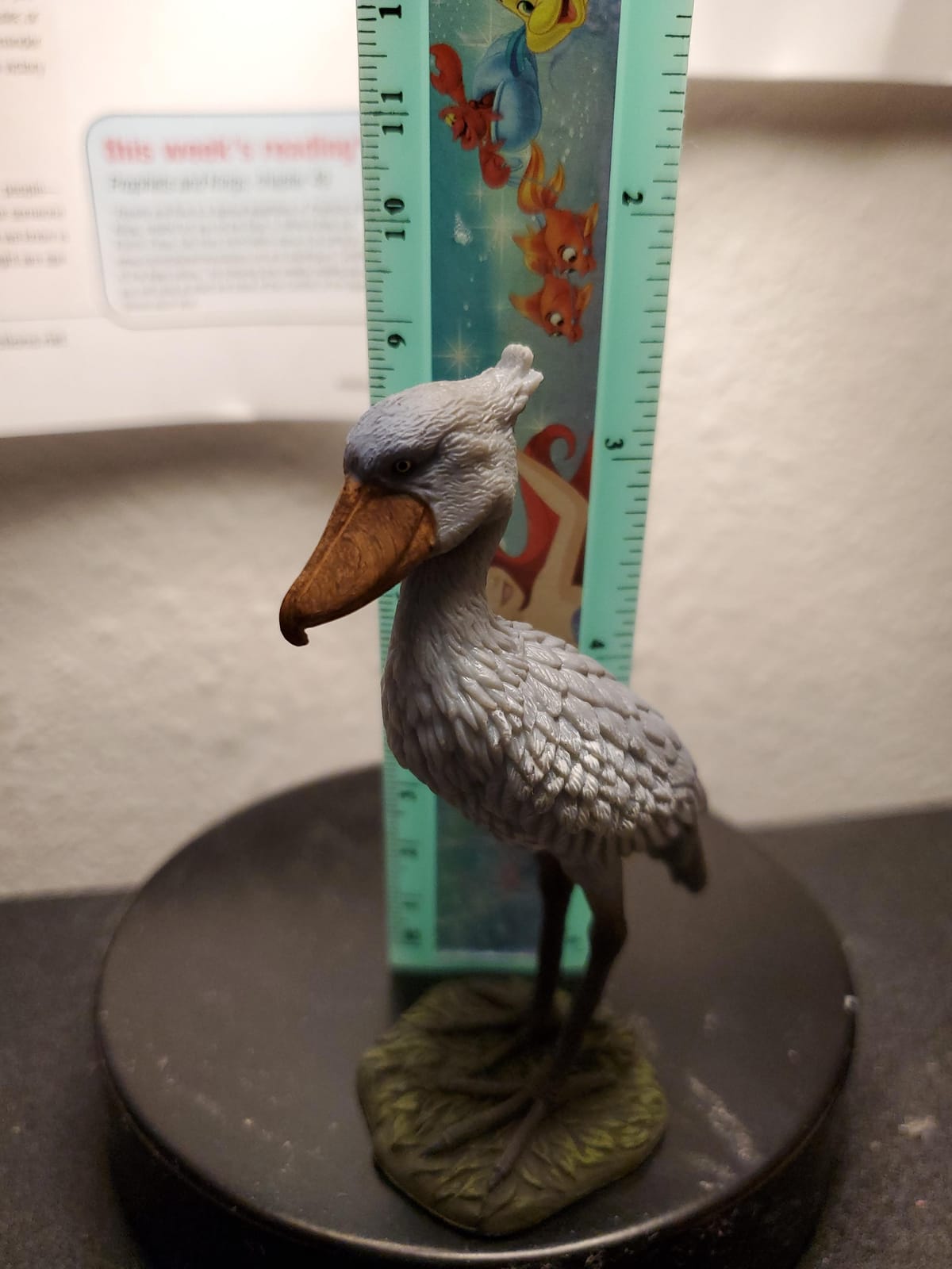 Collecta Wildlife Shoebill Toy Figure - Authentic Hand Painted Model customer photo 1
