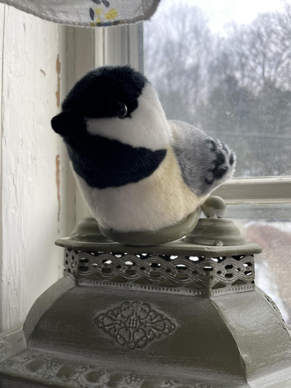 Wild Republic Audubon Birds Black-Capped Chickadee Plush with Authentic Bird Sound, Stuffed Animal, Bird Toys for Kids & Birders customer photo 1