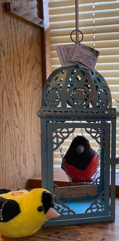 Oriole by Wild Republic customer photo 1