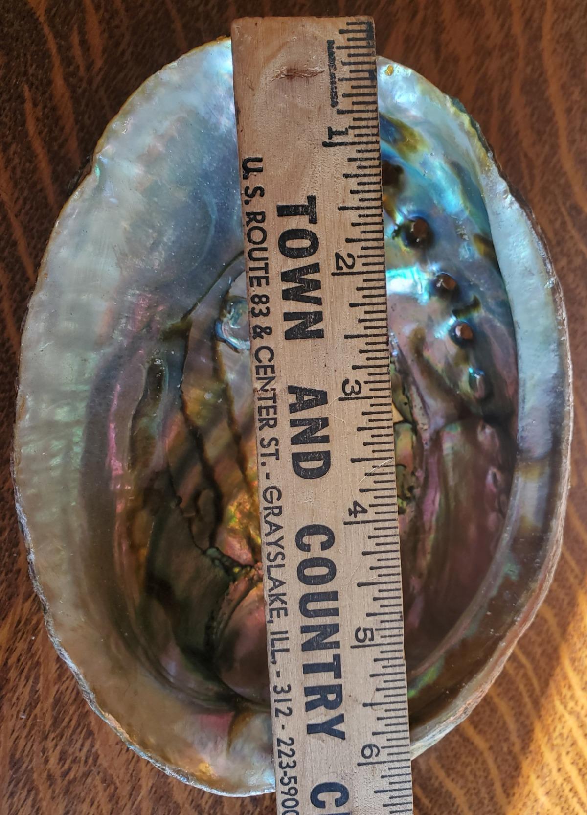 Hand Selected Abalone Shell, 6-Inch+ Polished Smudging & Display Bowl customer photo 1