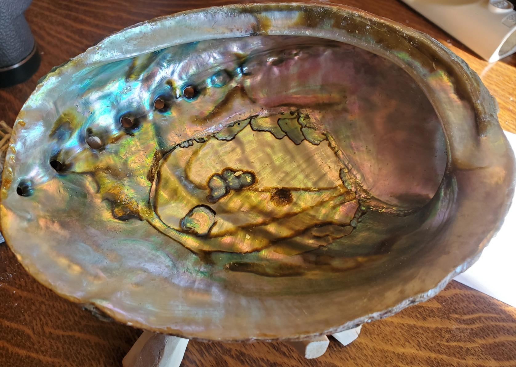 Hand Selected Abalone Shell, 6-Inch+ Polished Smudging & Display Bowl customer photo 2