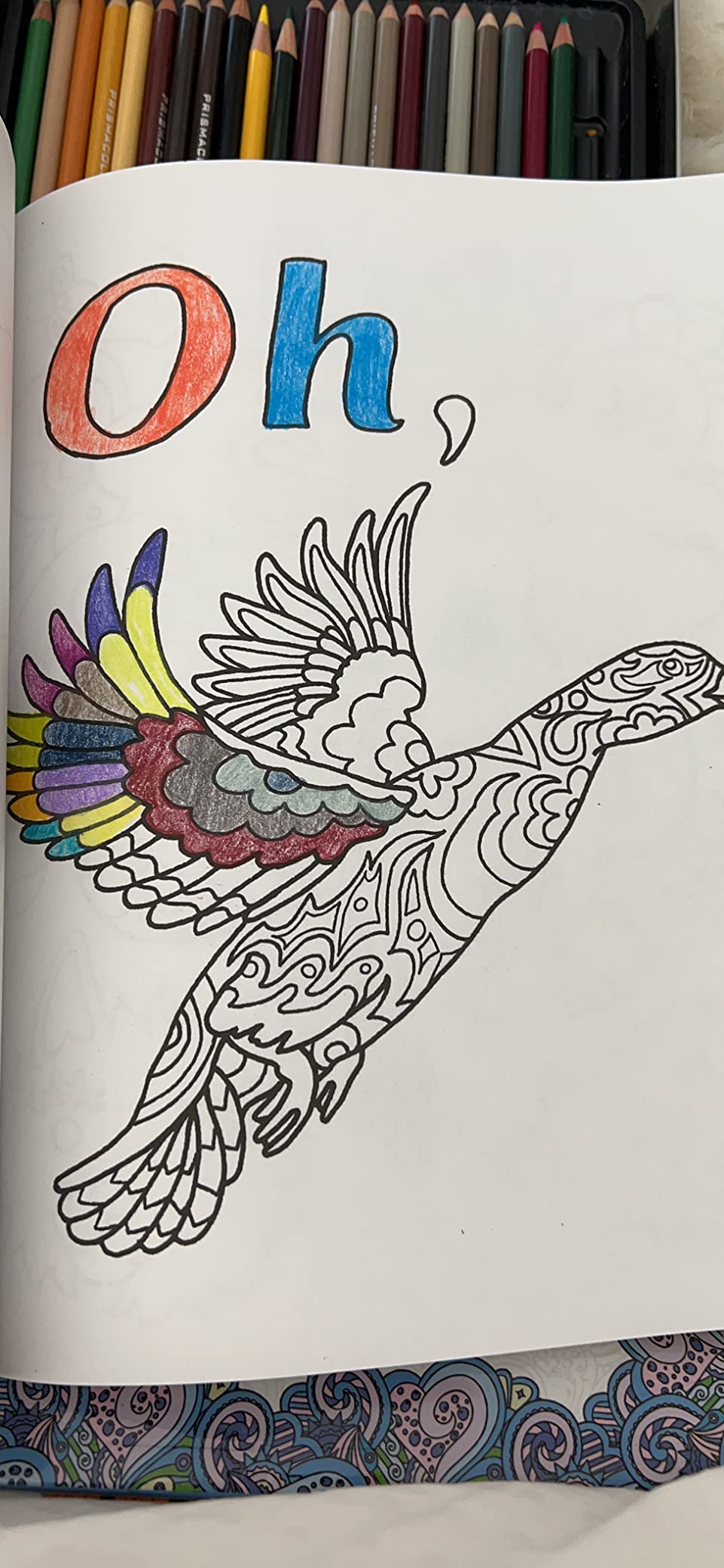 Maybe Swearing Will Help Adult Coloring Book Set - for Adults Relaxation with Markers in a Case - Motivational Swear Word Anxiety Relief - Color Cuss & Laugh Your Way to Less Stress customer photo 1