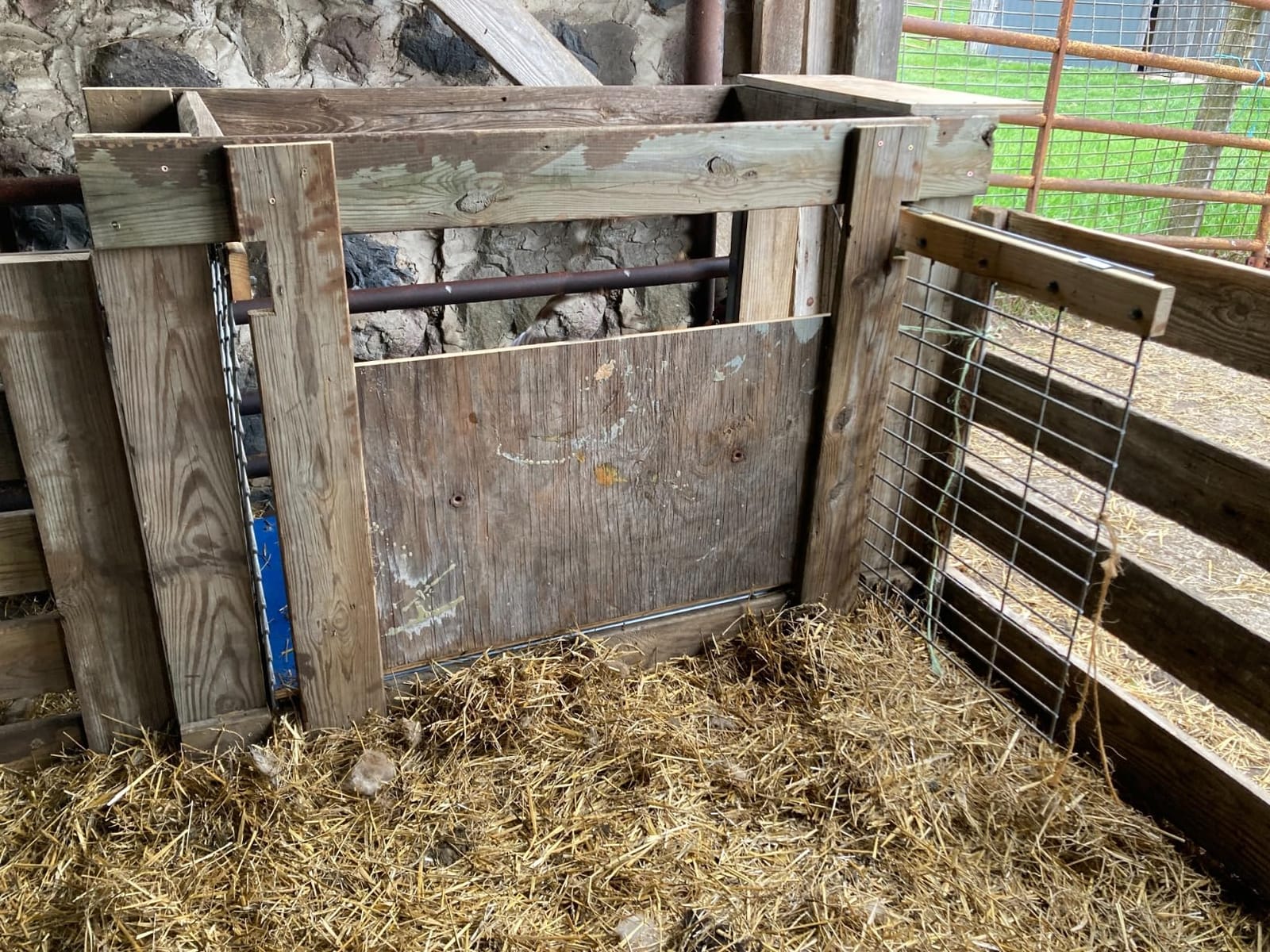 1000 lb Livestock hog Sheep Goat Animal Scale Kit customer photo 2