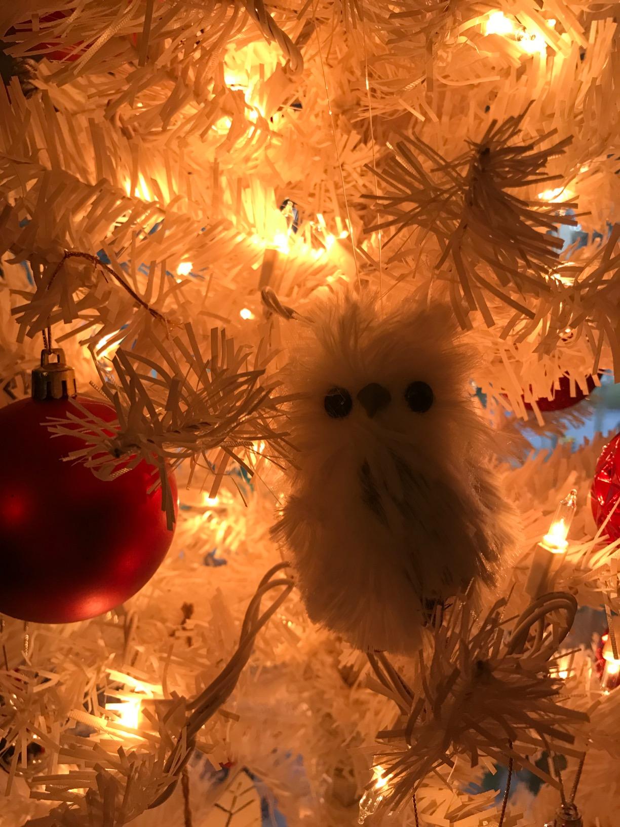 Kurt Adler 5.1in Silver Hanging Owl Christmas Ornament,Acrylic, 2 Assorted customer photo 1
