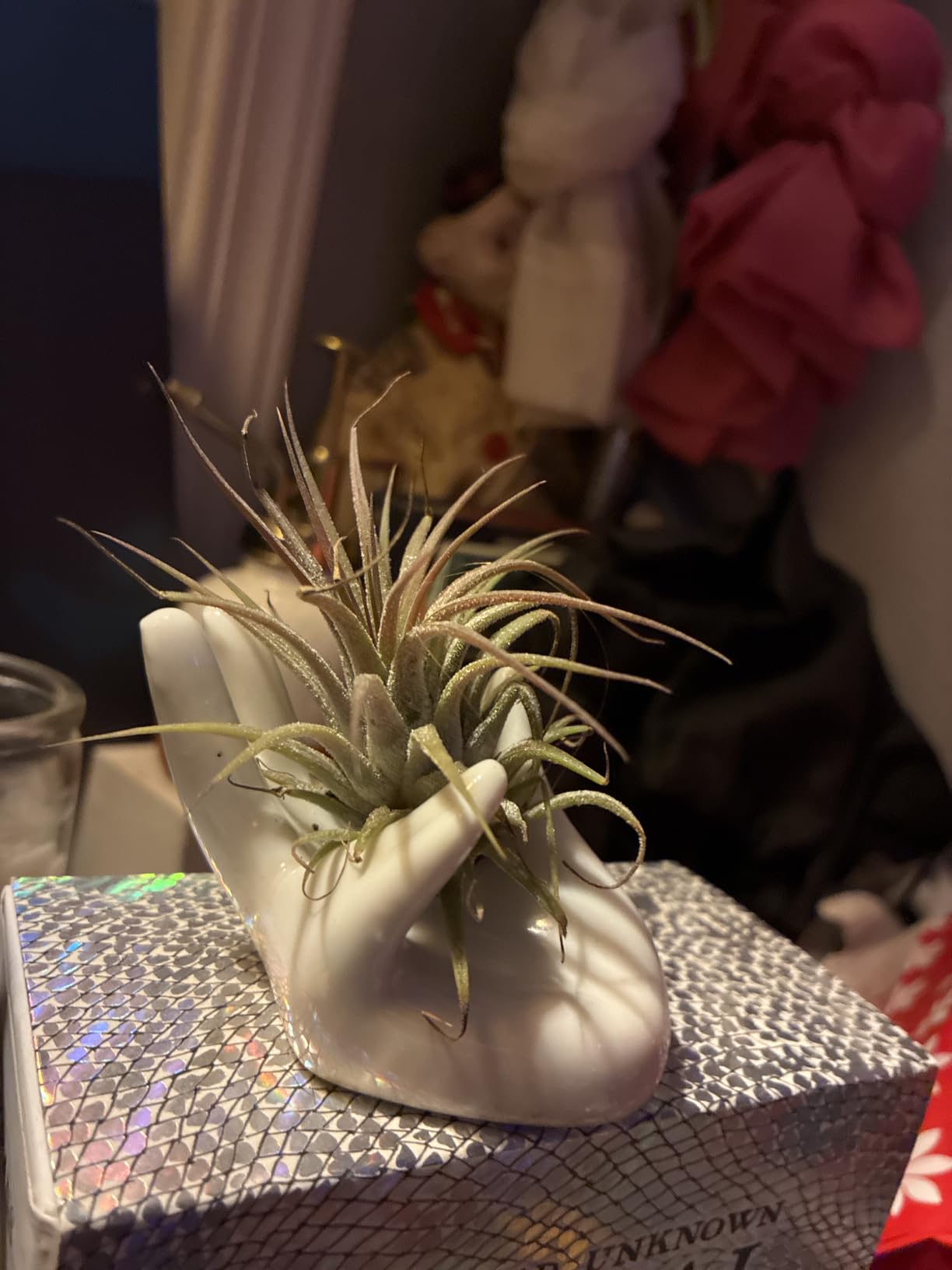 Dahey Mini Air Plant Holder, 1 Pack Hand Shape Ceramic White Desktop Stand customer photo 2