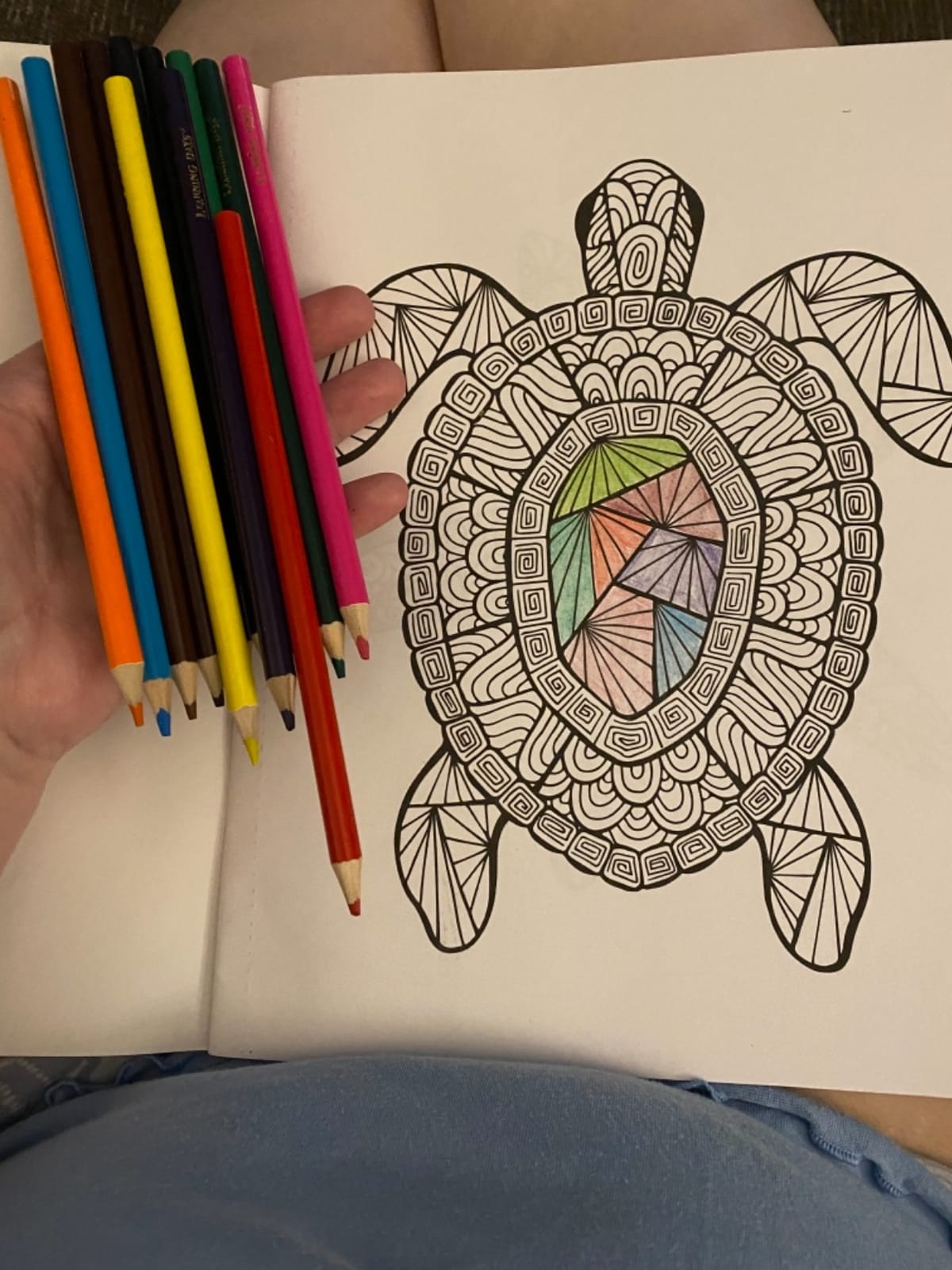 ZOCO - Gift Pack: 3 Adult Coloring Books Set with Colored Pencils - Oceans, Patterns & Nature - Relaxing Activity for Women, Seniors & Teens customer photo 1