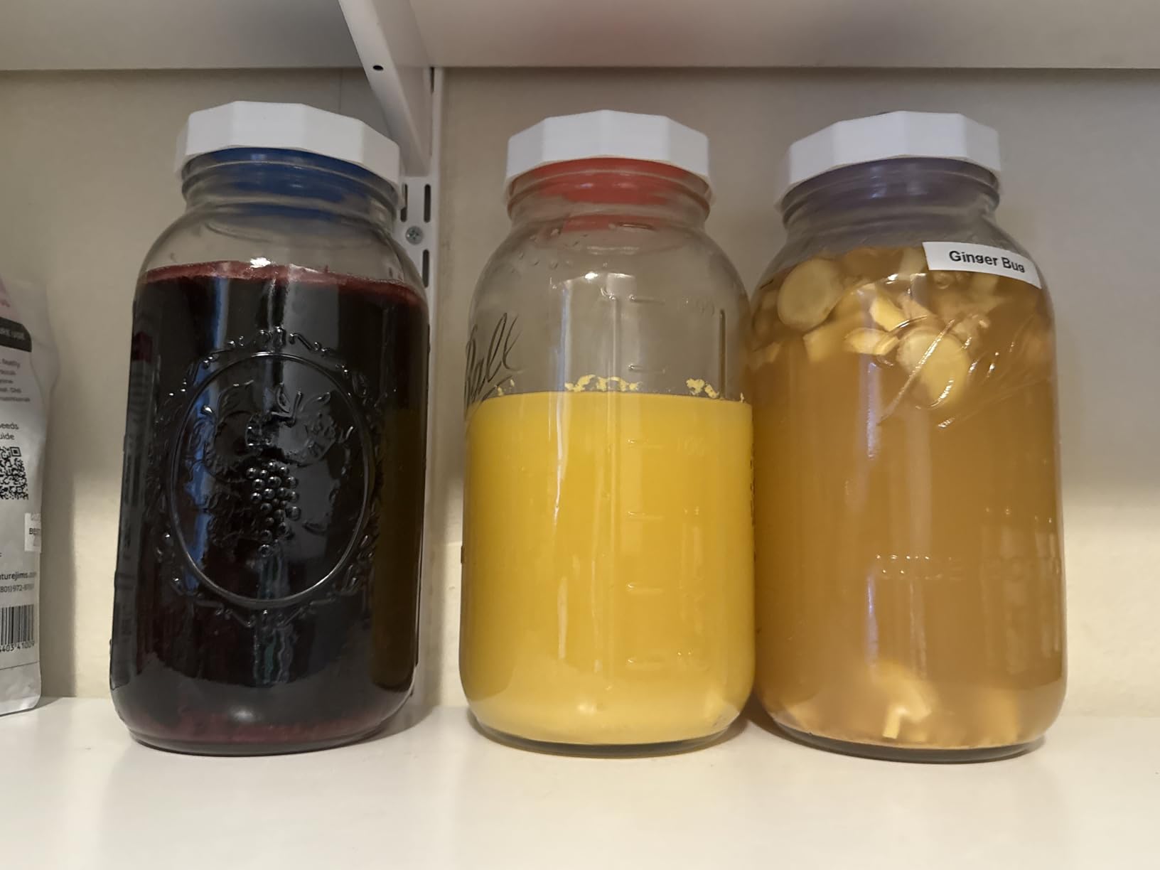 Masontops Pickle Pipes - Airlock Fermentation Lids - Fermentation Kit For Wide Mouth Mason Jar Sauerkraut & Pickle Kit - Fermentation Jar Not Included customer photo 1