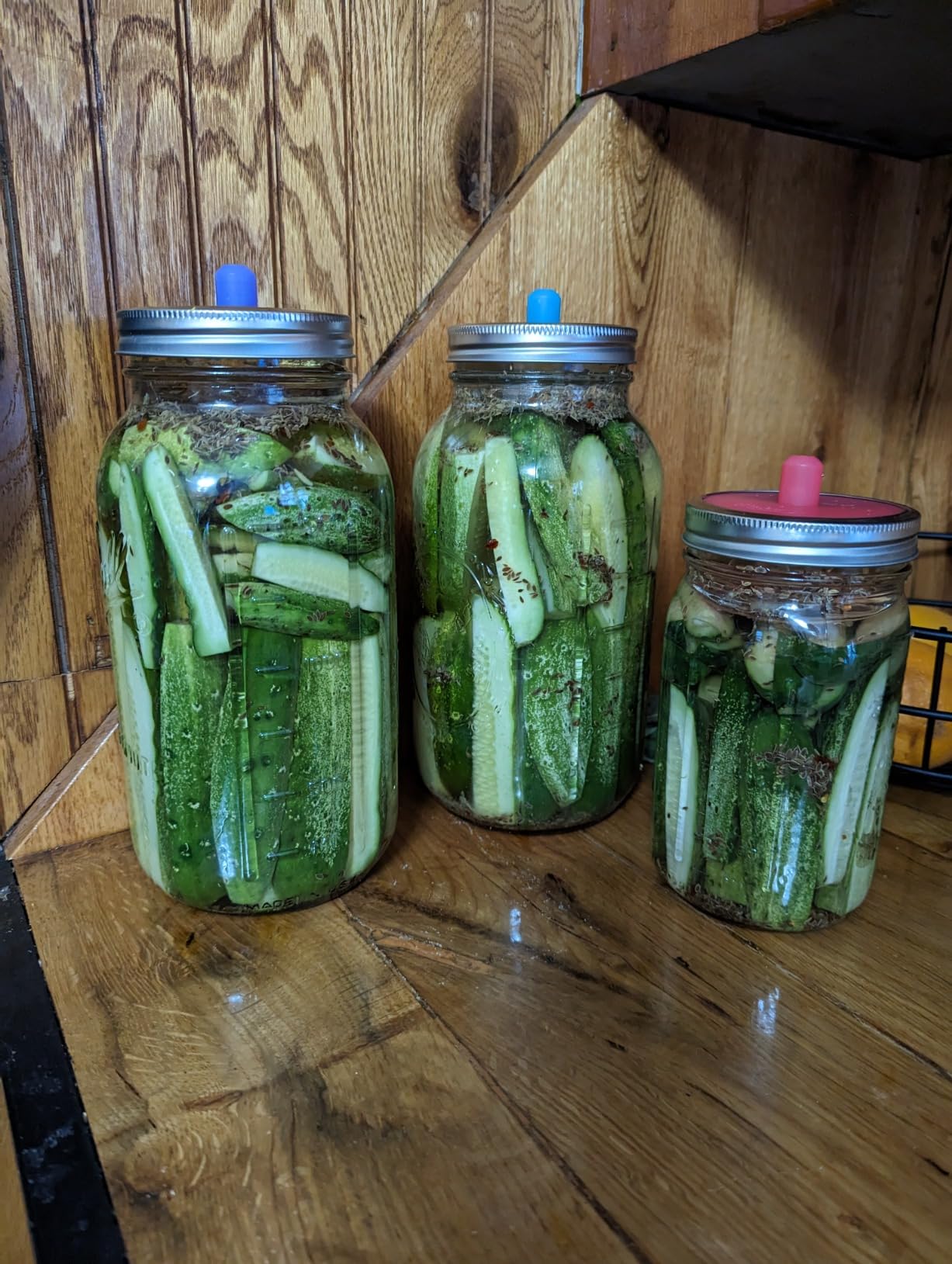Masontops Pickle Pipes - Airlock Fermentation Lids - Fermentation Kit For Wide Mouth Mason Jar Sauerkraut & Pickle Kit - Fermentation Jar Not Included customer photo 2