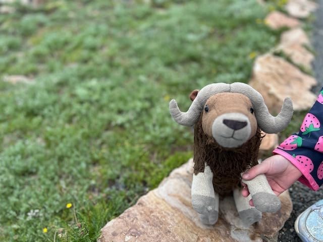 Wild Republic Musk Ox Plush, Stuffed Animal, Plush Toy, Gifts for Kids, Cuddlekins 12 Inches customer photo 1