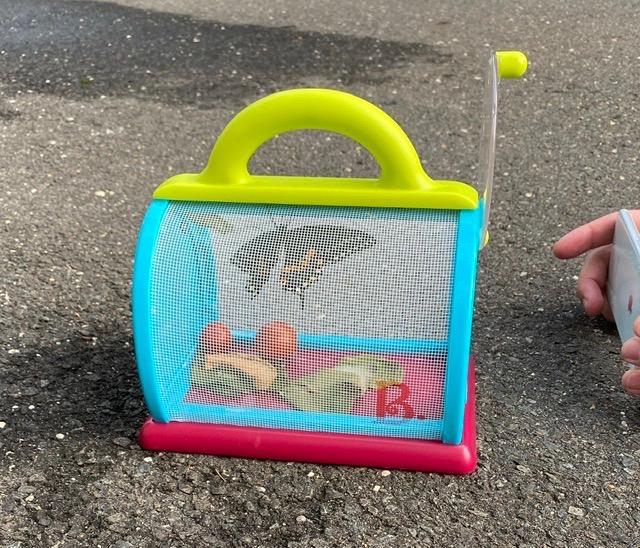 B. toys Bug Bungalow Bug Catching Kit with Mesh Bug House Case, Summer customer photo 1