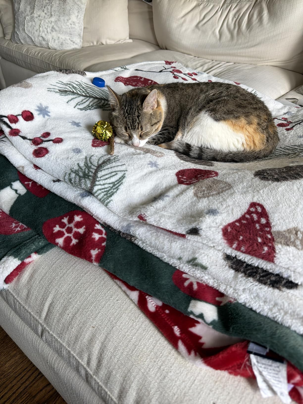 Vetericyn Plus Cat Wound Care Spray | Feline Healing Aid and Skin Repair for Wounds, Sores, and Abrasions, Provides Itch Relief for Cats Irritated Skin. 3 Ounces customer photo 2