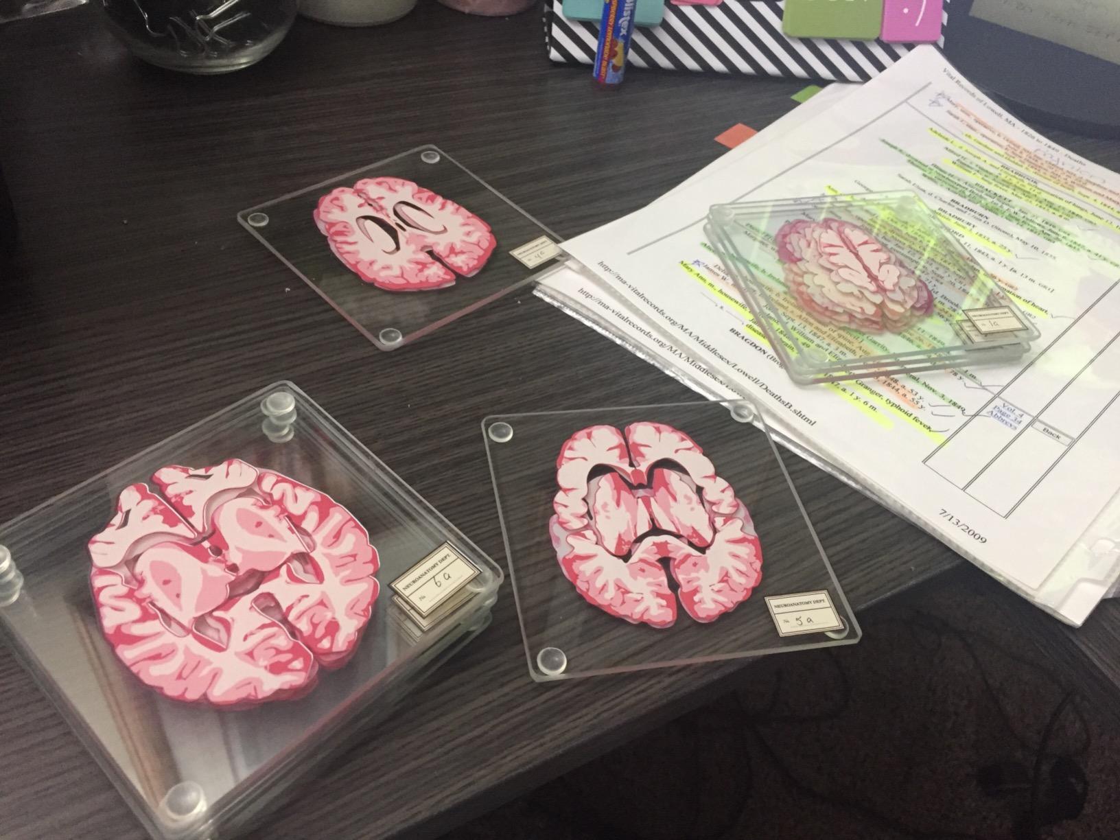 Original Anatomic Heart Coasters Set - Fade-Proof Print - Best Gift for Doctors, Nurses, Med Students or Geeky Decor - Brain Set Also Available customer photo 1