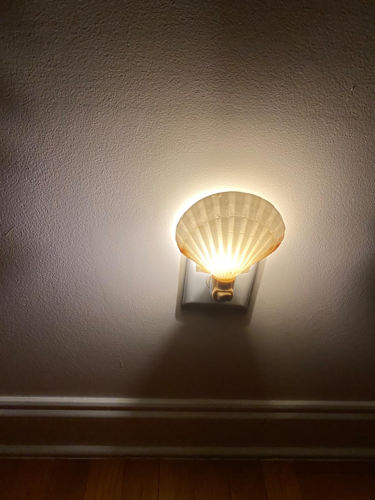 Tumbler Home Real Sea Shell Beach Night Light for Coastal Beach Home Decor customer photo 1