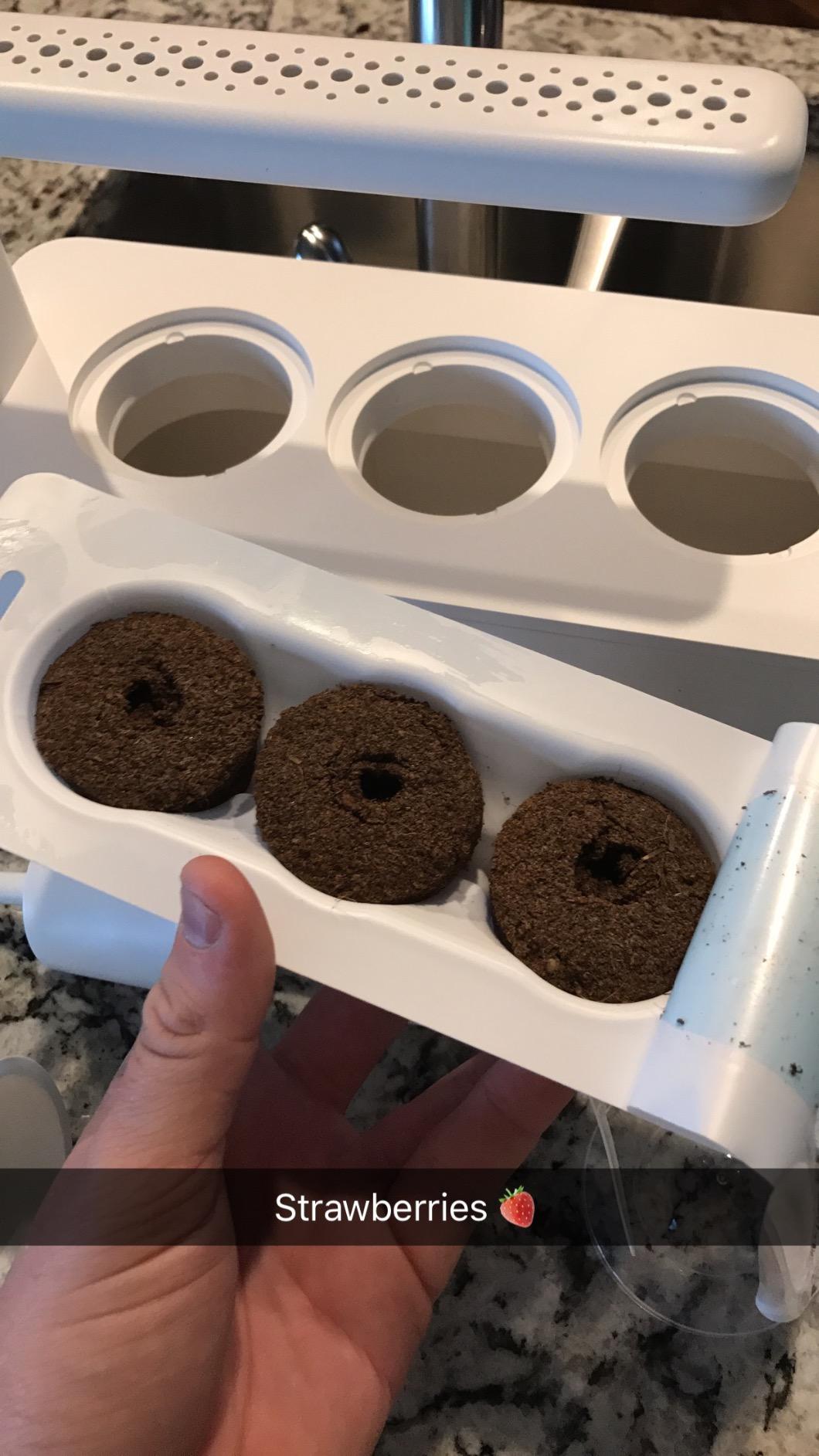 Click & Grow Indoor Herb Garden Kit with Grow Light | Smart Garden for Home Kitchen Windowsill | Easier Than Hydroponics Growing System | Vegetable Gardening Starter (3 Basil Pods Included), White customer photo 2