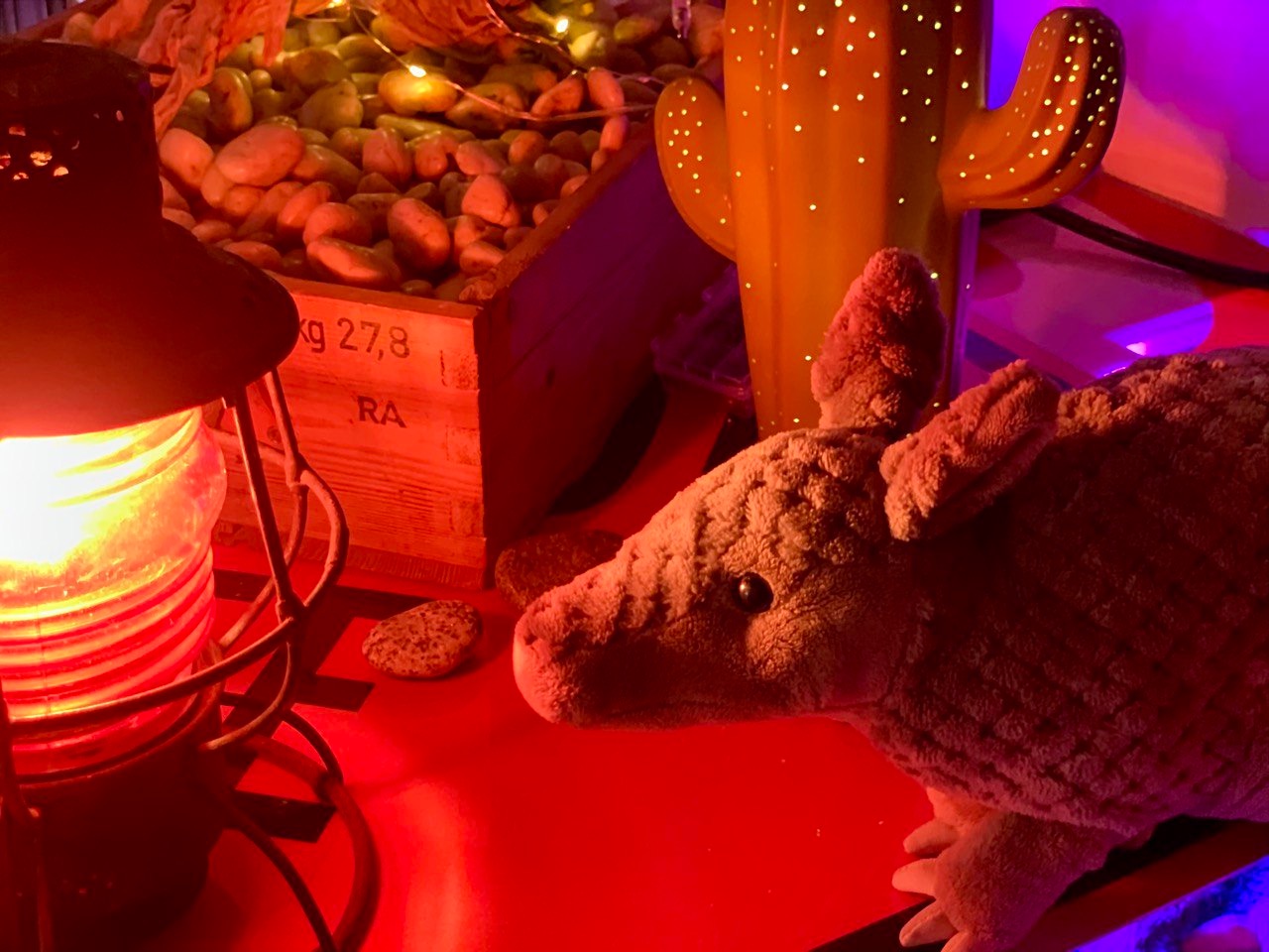 Wild Republic Armadillo Plush, Stuffed Animal, Plush Toy, Gifts for Kids, Cuddlekins 12