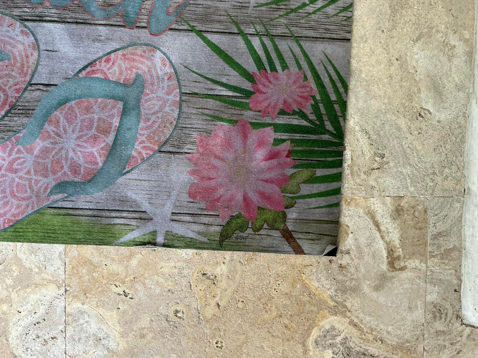 Briarwood Lane Doormat 30x18 Indoor Outdoor Paradise Parrot Summer for Summer Doormat customer photo 1