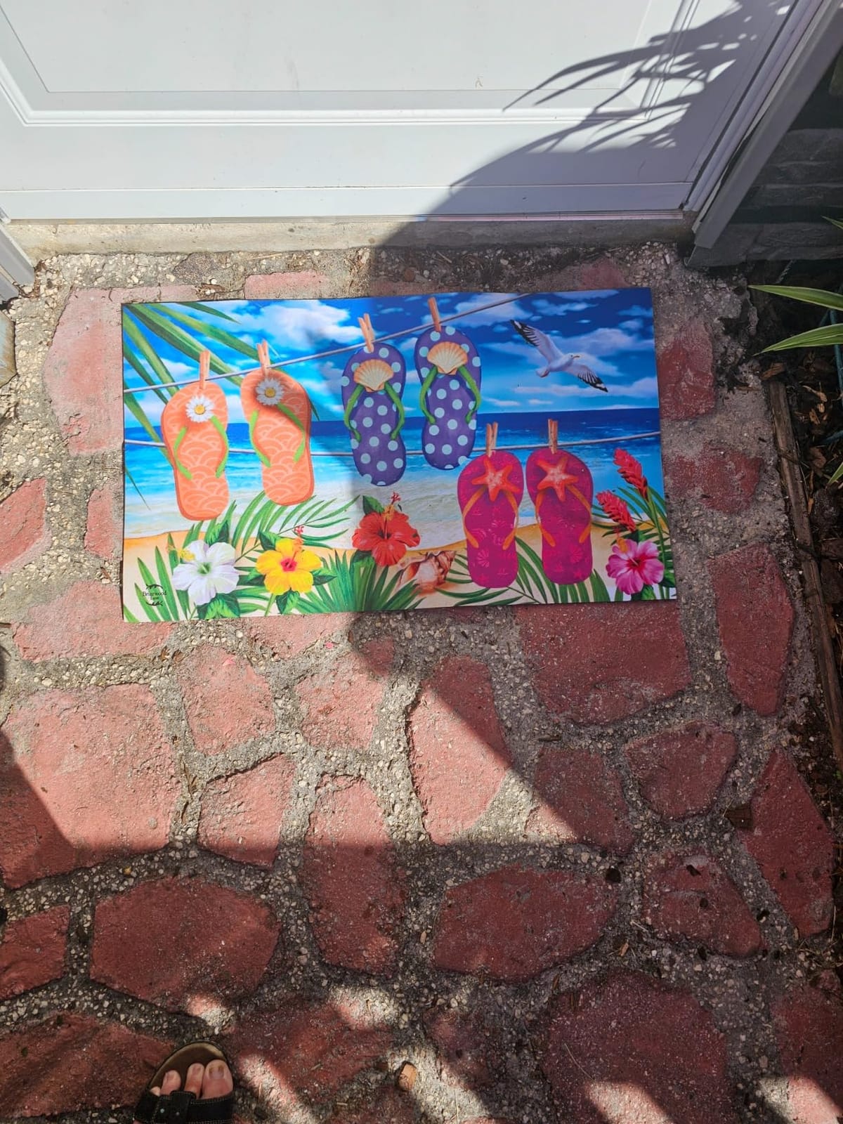 Briarwood Lane Doormat 30x18 Indoor Outdoor Paradise Parrot Summer for Summer Doormat customer photo 2