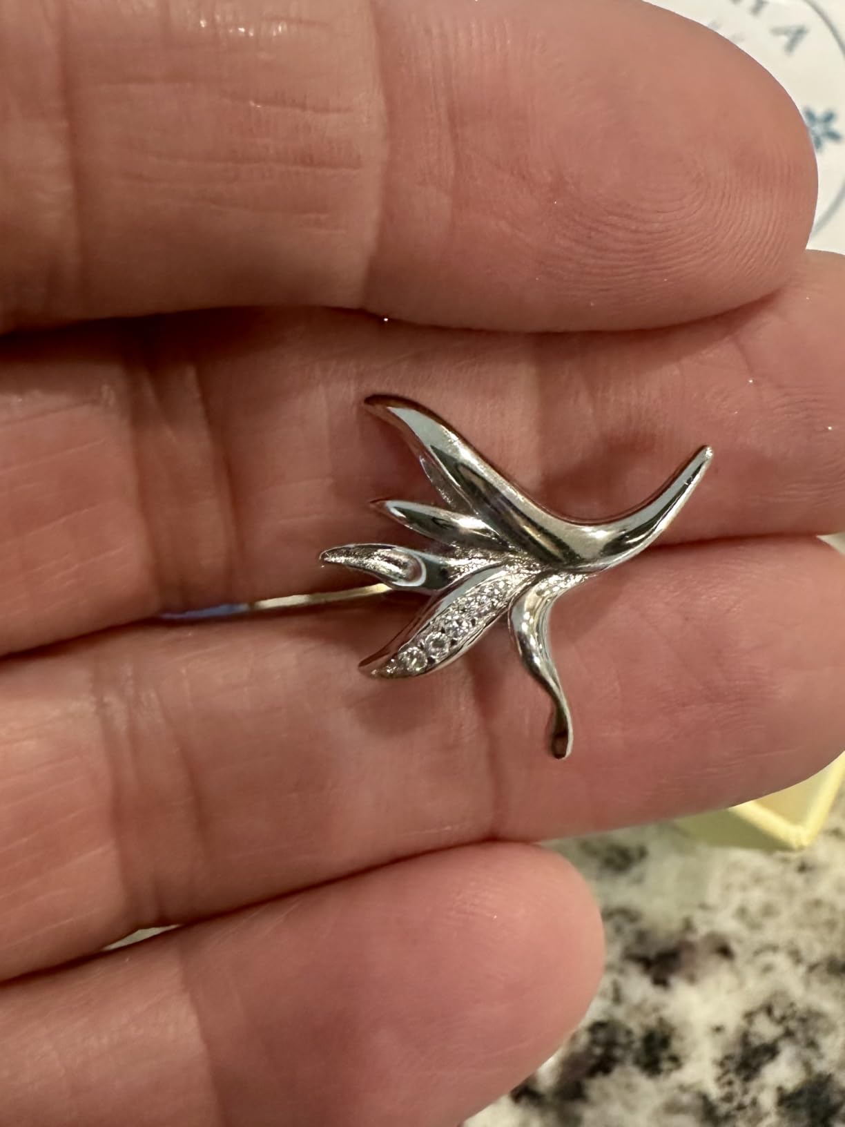 925 Sterling Silver Hawaiian Bird of Paradise Tropical Flower Plant with Cubic Zirconia Stud Earrings, Nickle Free Hypoallergenic for Sensitive Ears, Nautical Sea Beach Ocean Jewelry with Gift Box customer photo 2