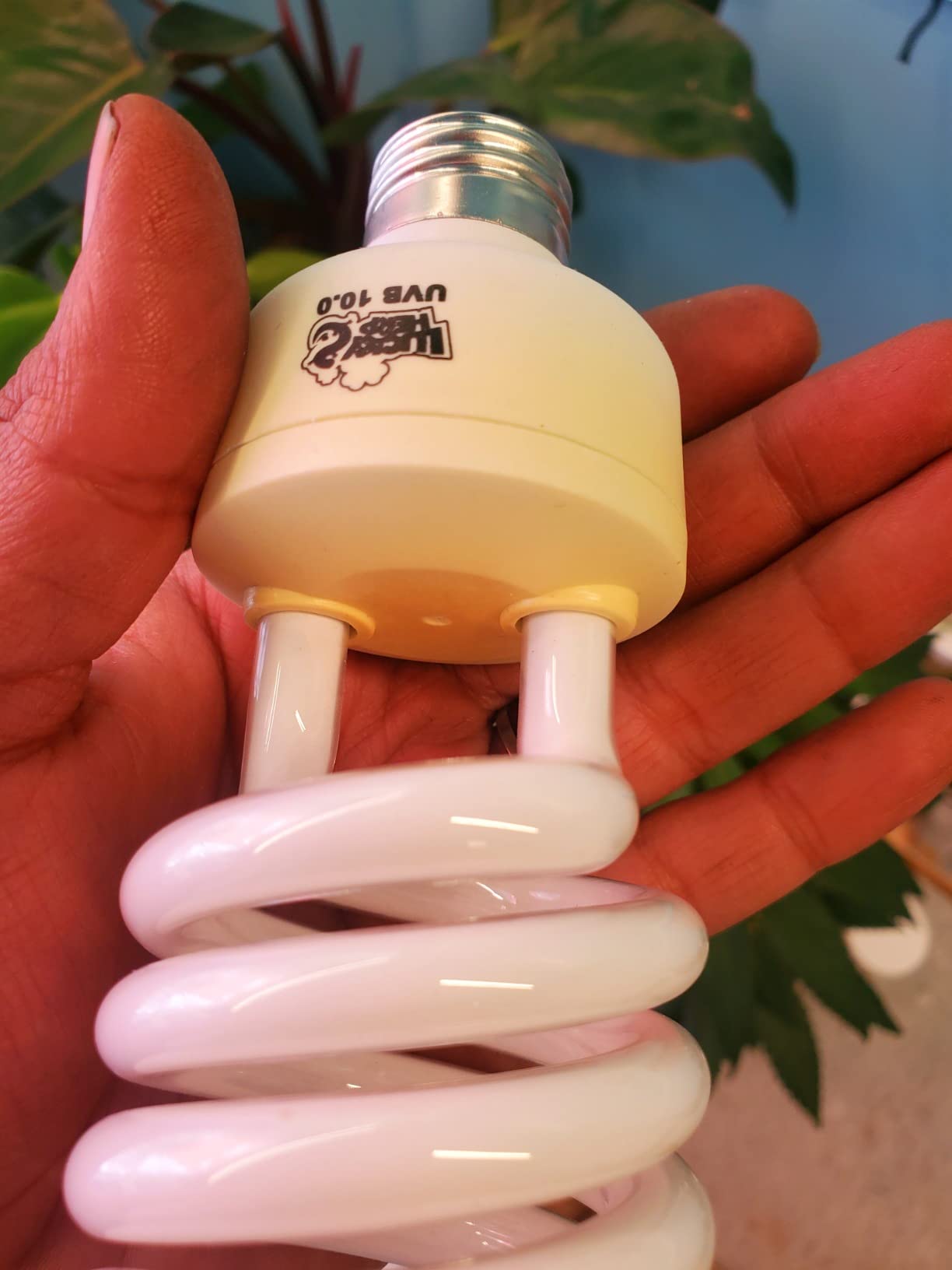 LUCKY HERP Desert UVA UVB Reptile Light Bulb 10.0 26W Compact Fluorescent Lamp customer photo 2