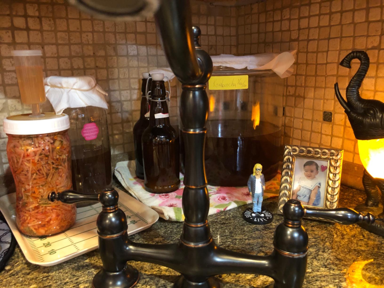 Fermentaholics ORGANIC Kombucha SCOBY With Twelve Ounces of Starter Tea - Live Starter Culture - Makes A One Gallon Batch - 1.5 Cups of Strong Mature Starter Tea - Brew Your Own Kombucha (1 Pack, 1, Count) customer photo 1