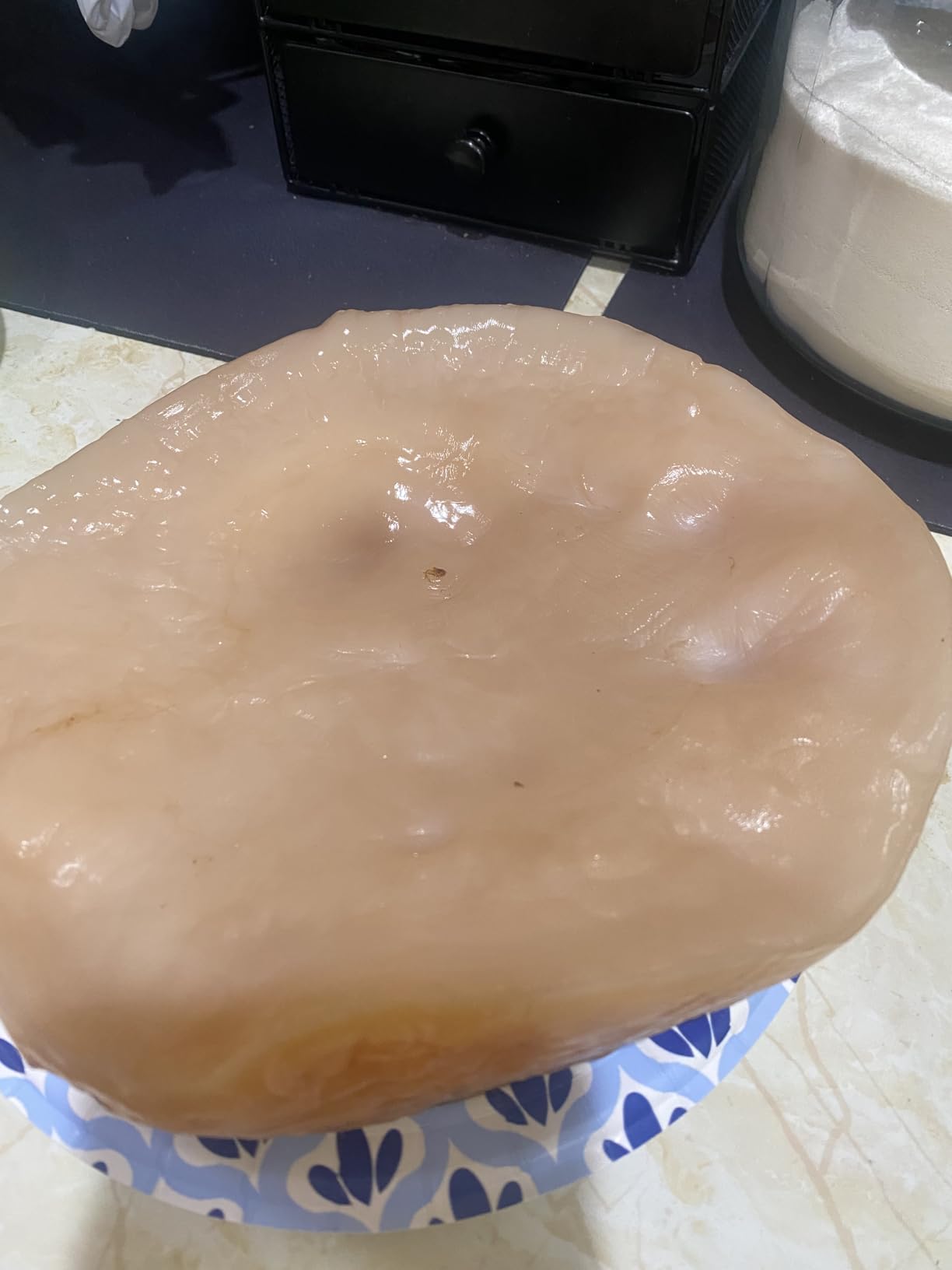 Fermentaholics ORGANIC Kombucha SCOBY With Twelve Ounces of Starter Tea - Live Starter Culture - Makes A One Gallon Batch - 1.5 Cups of Strong Mature Starter Tea - Brew Your Own Kombucha (1 Pack, 1, Count) customer photo 2