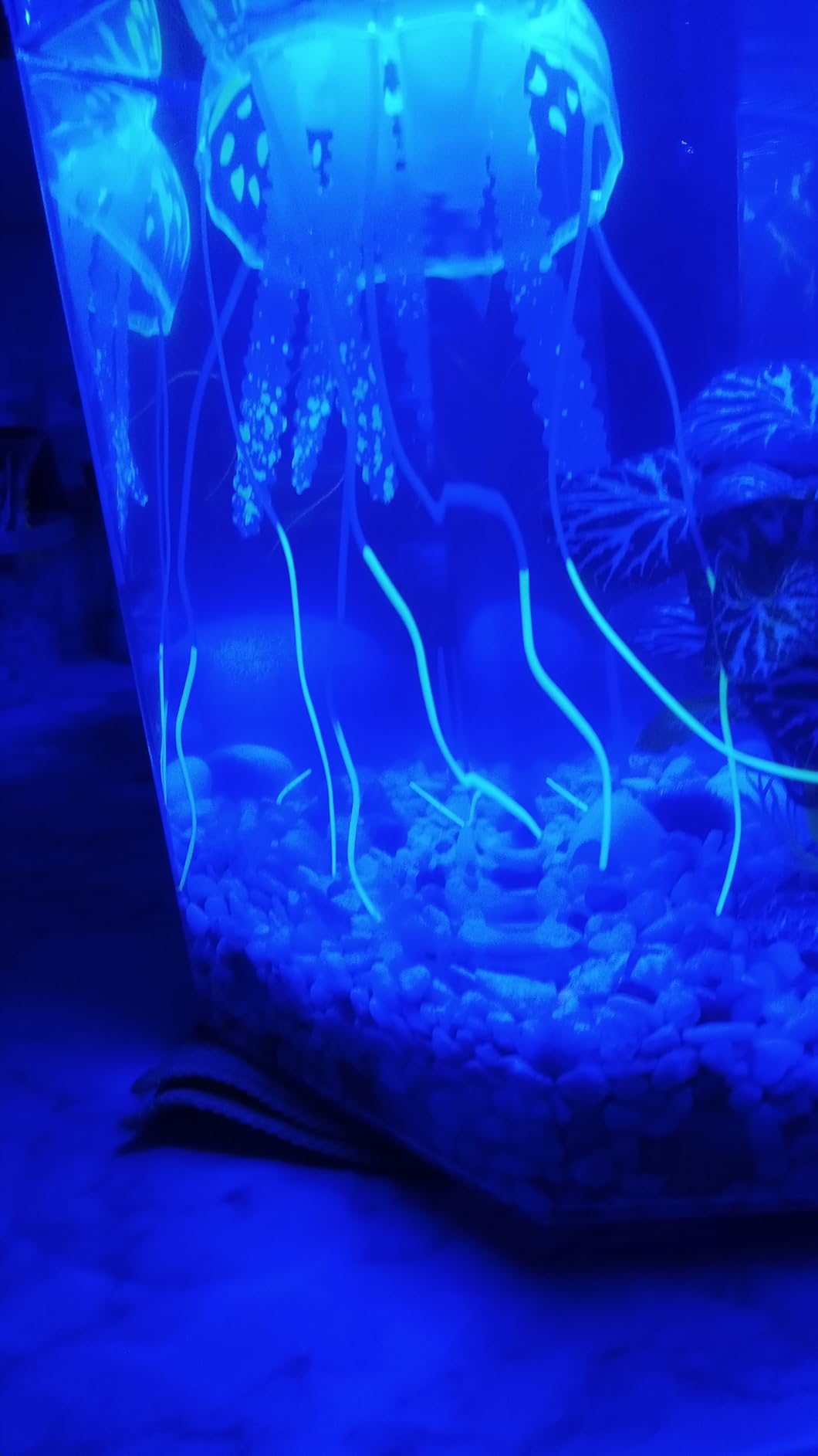 Uniclife 6 Pcs Glowing Jellyfish Ornament Decoration for Aquarium Fish Tank customer photo 1