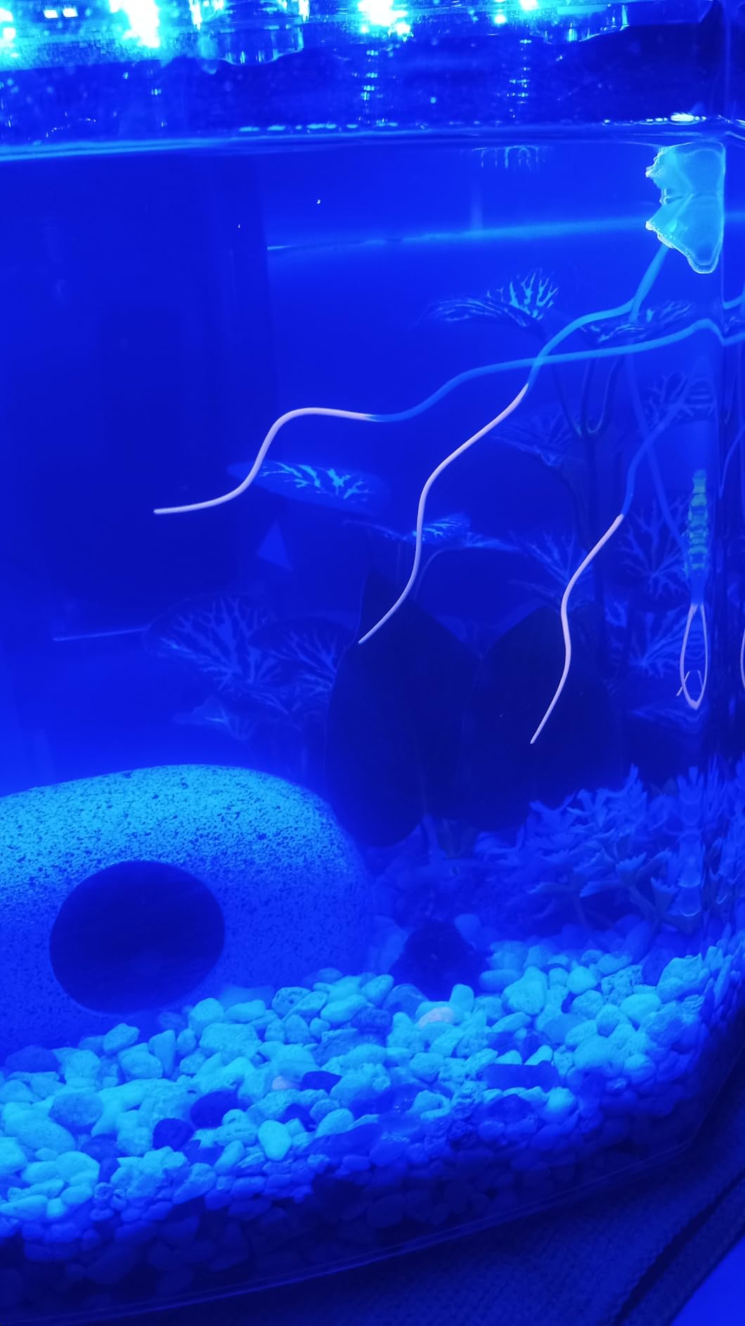 Uniclife 6 Pcs Glowing Jellyfish Ornament Decoration for Aquarium Fish Tank customer photo 2