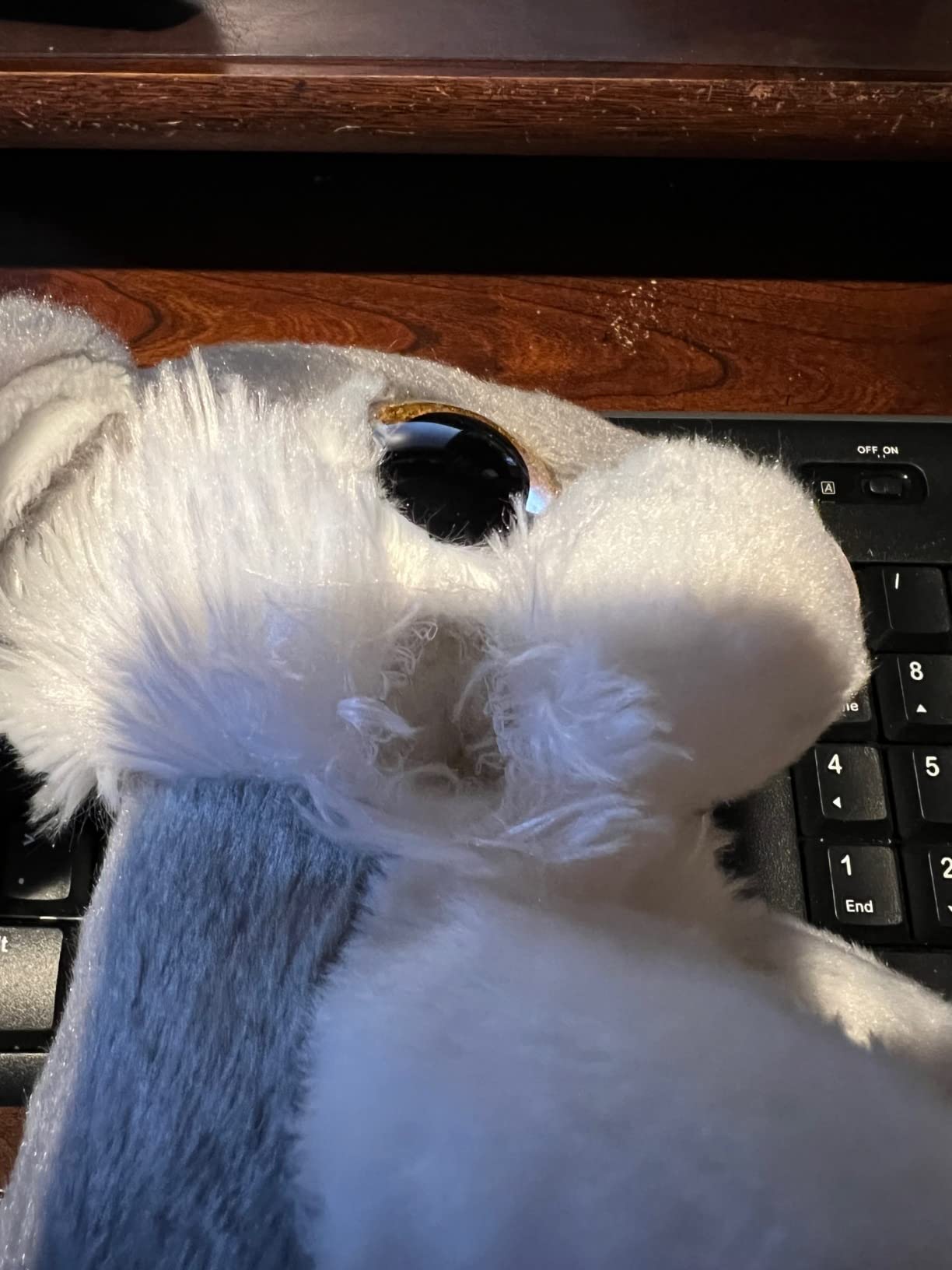 My OLi Plush Bunny Rabbit Stuffed Animal, 8.5 inches, Gray customer photo 1