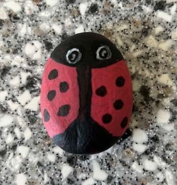 Creativity for Kids Rock Painting Kit - Hide and Seek Rock Kit, Arts and Crafts for Kids, Gifts for Kids (Ages 6+) customer photo 2