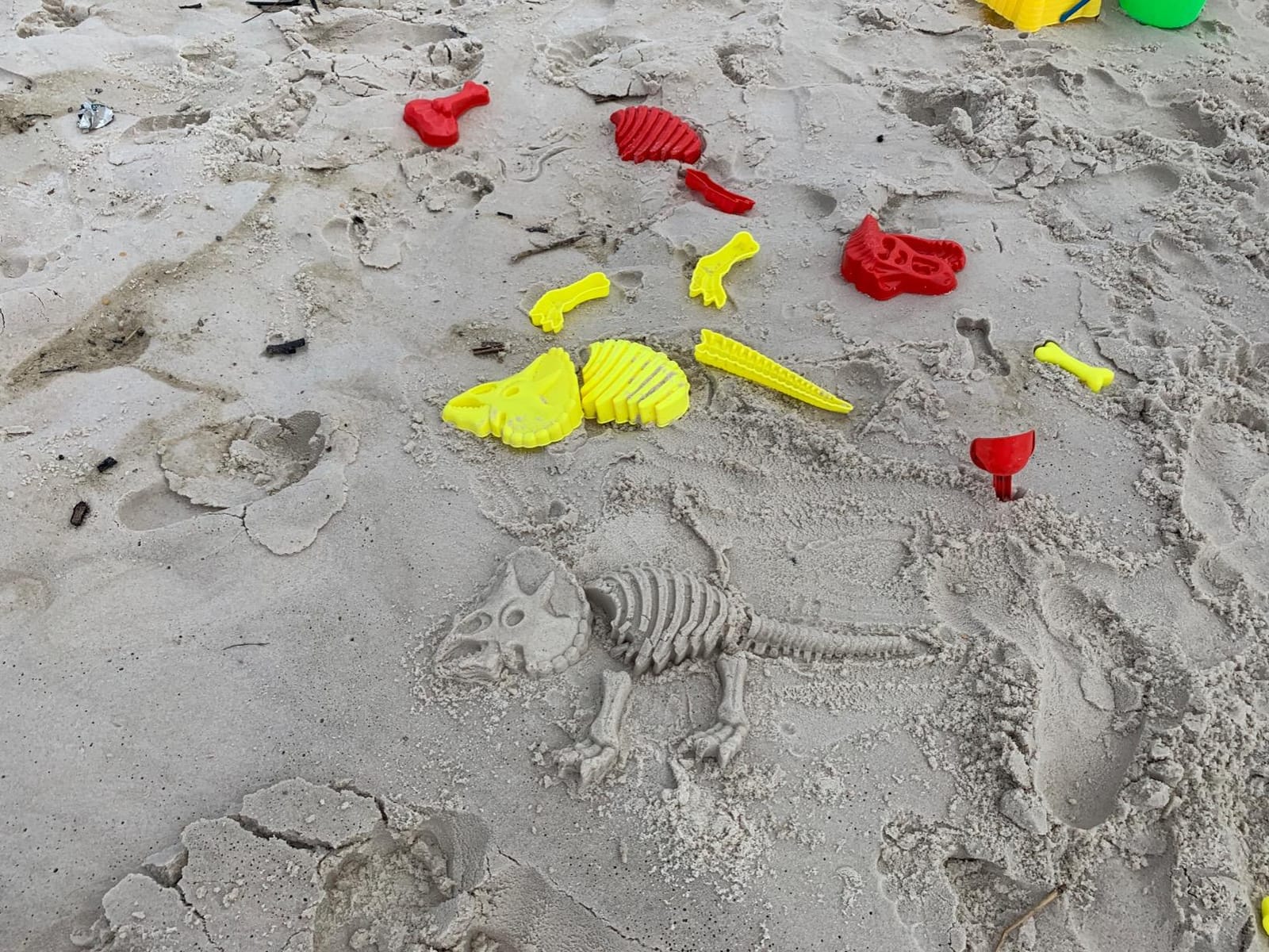 Liberty Imports 25 PCS Large Dinosaur Fossil Sand Molds Kids Beach Toy Set | Mold Giant Full T-Rex, Triceratops & Stegosaurus Skeletons in Beach customer photo 1