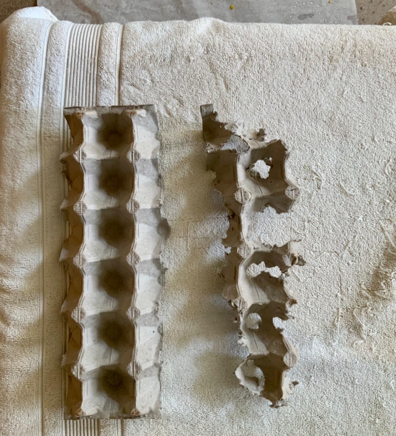 Biodegradable Pulp Fiber Egg Flats - 15 Pieces for Storing up to 30 Large or Small Eggs/Egg Crates That Make a Great Home for Roach Colony by MT Products customer photo 2