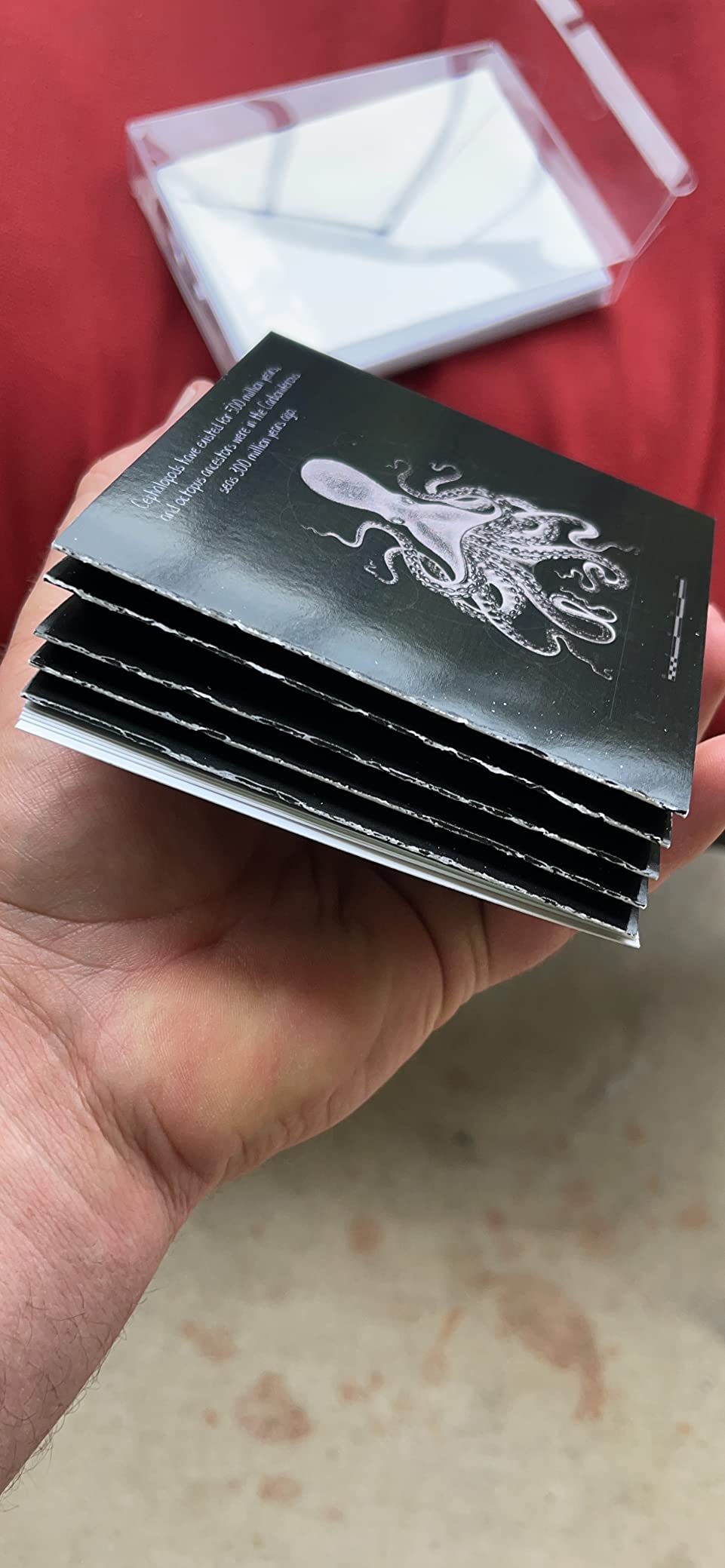 The Best Card Company - 10 Blank Note Cards with Envelopes (4 x 5.12 Inch) - Ocean Whale Images, Bulk Boxed Set - Whale Known MQ4960OCB-B1x10 customer photo 1