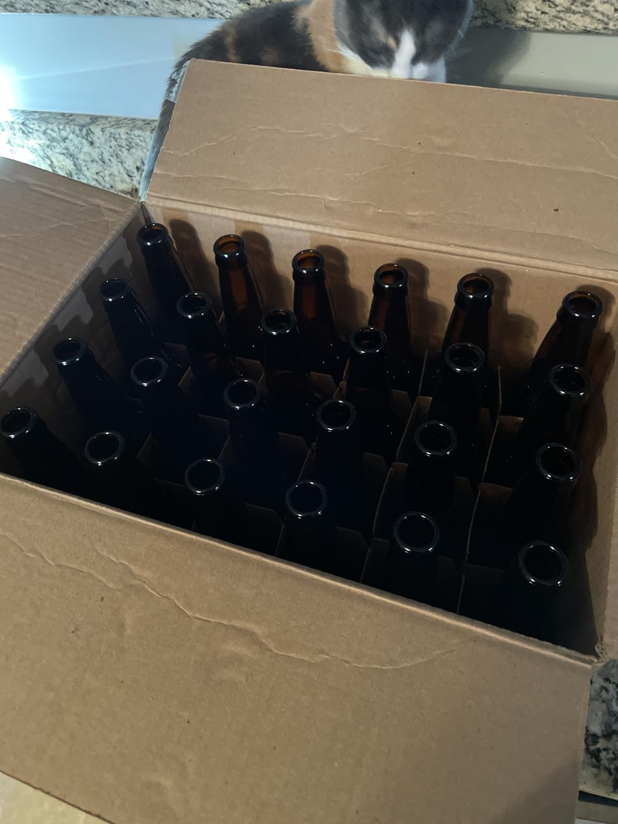 FastRack Amber Beer Bottles 12oz (Pack of 48) | Longneck Glass Beer Bottles with Pry-off Crown Finish for Home Brewing Mead, Cider & Kombucha | Durable Brewing Bottle & Bottling Kit customer photo 1