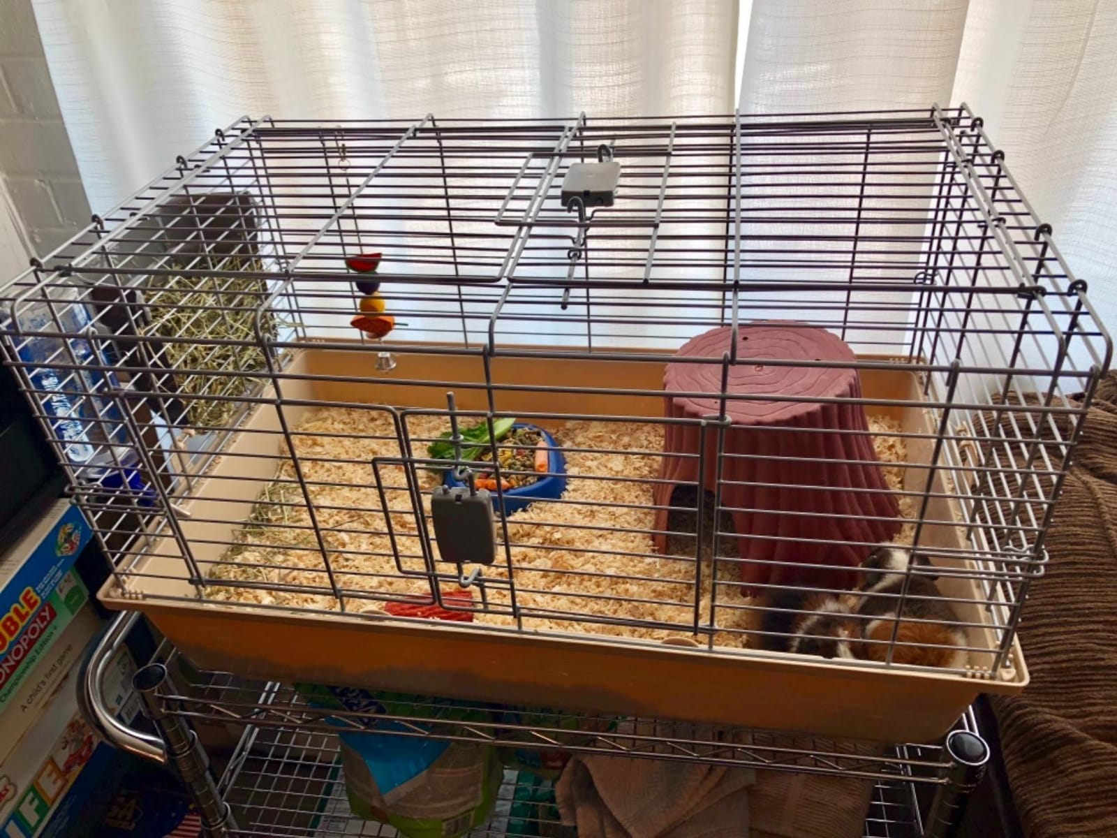 Amazon Basics Top Access Small Animal Habitat for Rabbit, Guinea Pig, Ferret & Chinchilla with Accessories, Jumbo, 48.6