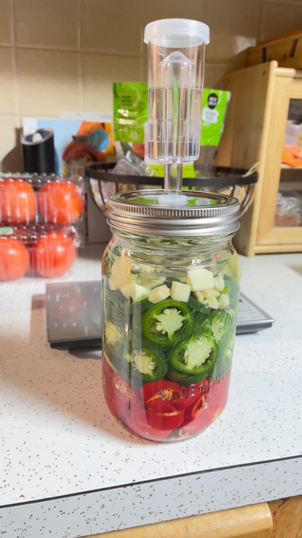 JILLMO Stainless Steel Fermentation Lids for Wide Mouth Mason Jars, 4 Pack | Fermenting Lids with Airlocks and Silicone Grommets for Easy Fermentation of Pickles, Kimchi and Sauerkraut, No Jars Included customer photo 2