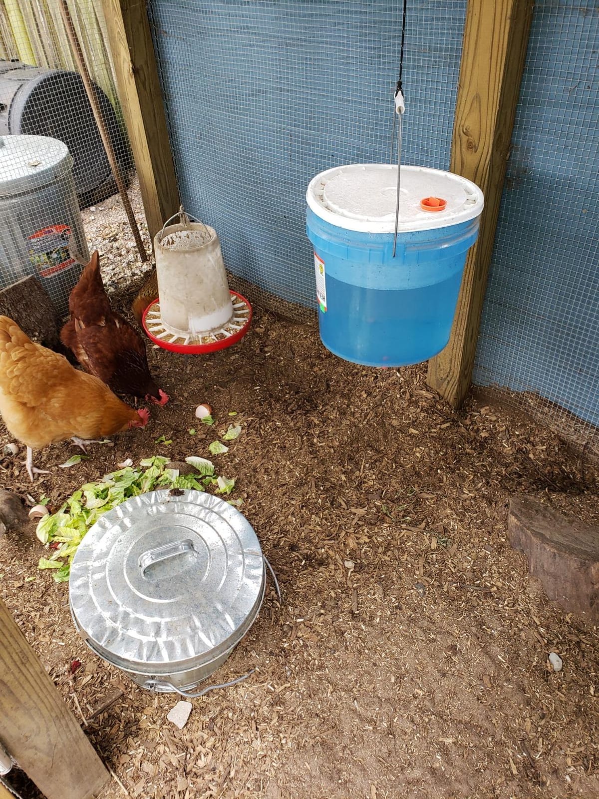 RentACoop Premium Hemp Bedding for Chickens, Rabbits, Horses - 300L (30lbs) customer photo 2