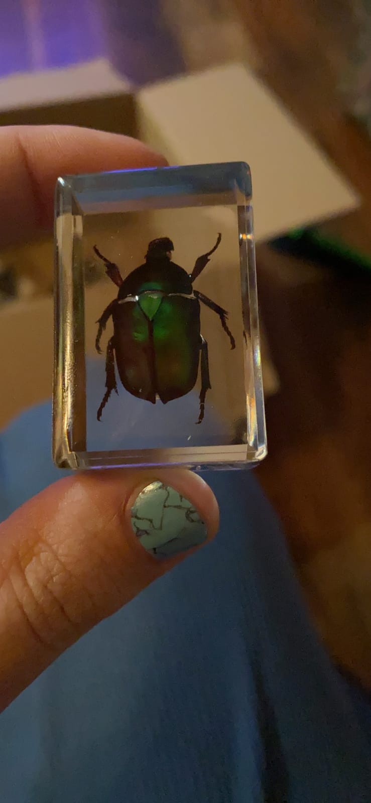 QTMY Insect in Resin Specimen Collection Paperweight for Office Desk,Christmas for Men Women Biology Science Teacher Education (Green Cockchafer Beetle) customer photo 2