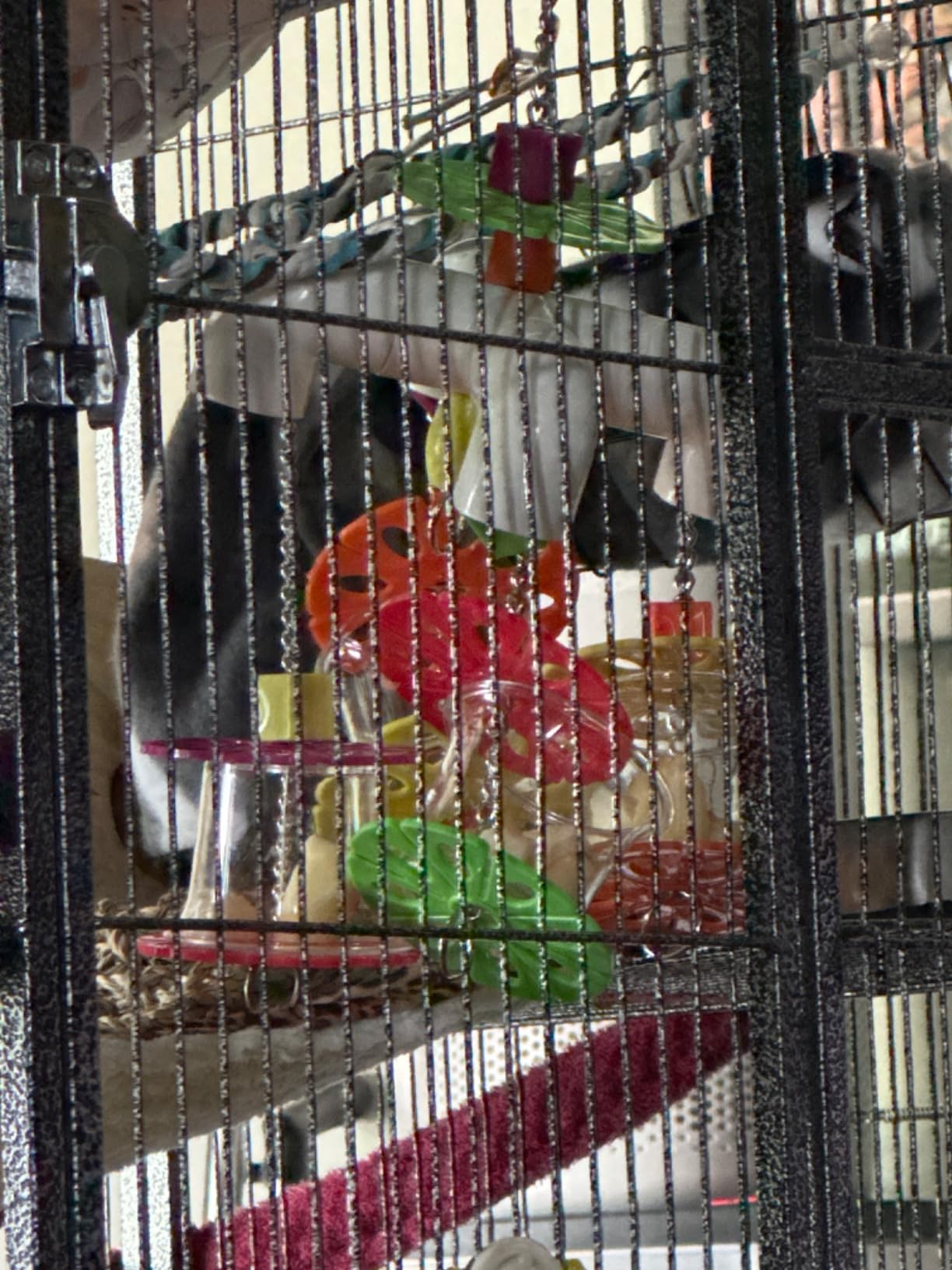 Mobile Forager - Durable Fun Treat Foraging Cage Accessory Toy - Sugar Gliders, Squirrels, Chinchillas, Prairie Dogs, Degus, Opossums, Marmosets, Monkeys, Parrots, Birds, Rats, Hamsters & Gerbils customer photo 1