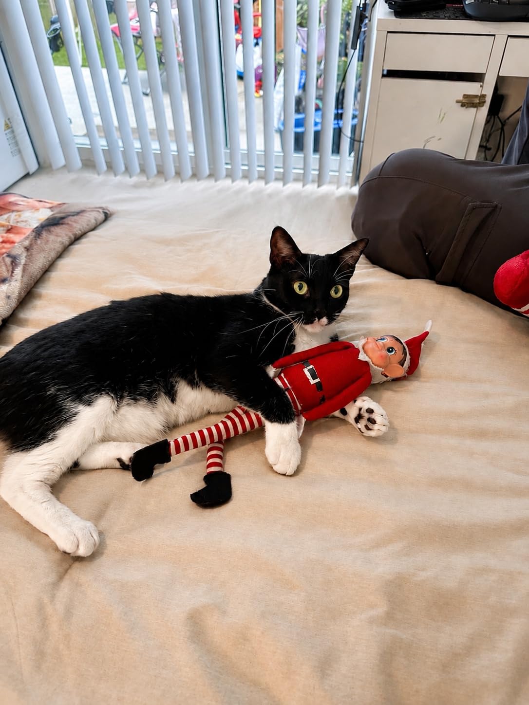 Christmas Elf Behaving Badly Plush Toy | Elfette Novelty Long Bendy Naughty Girl Christmas Doll | 12 Inches customer photo 1
